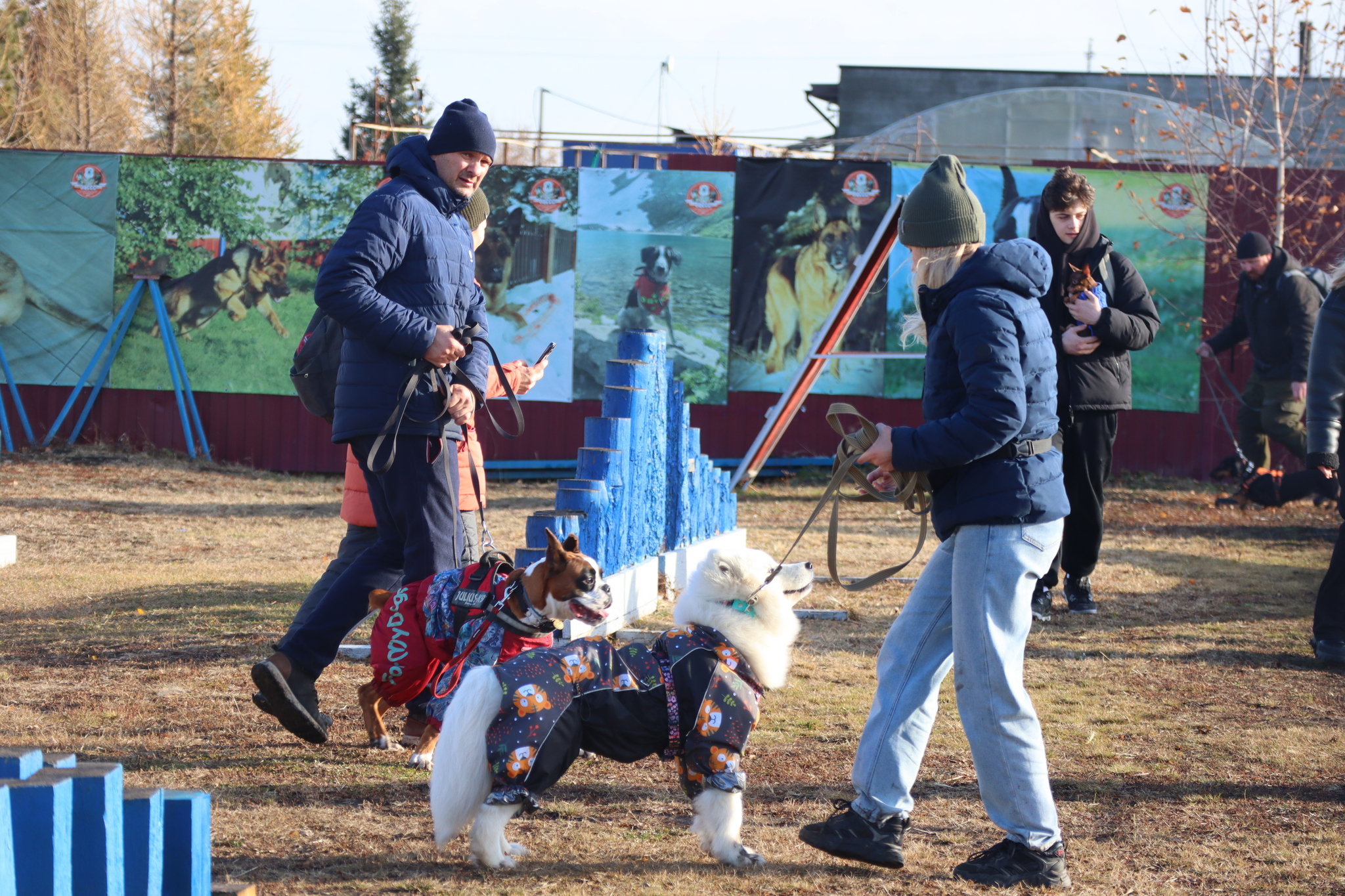 Дрессировка собак в Омске ОЦССС 03.11.2024 - Собака, Щенки, Омск, Дрессировка, Оцссс, Друг, Забота, Доброта, Собаководство, Друзья, Длиннопост