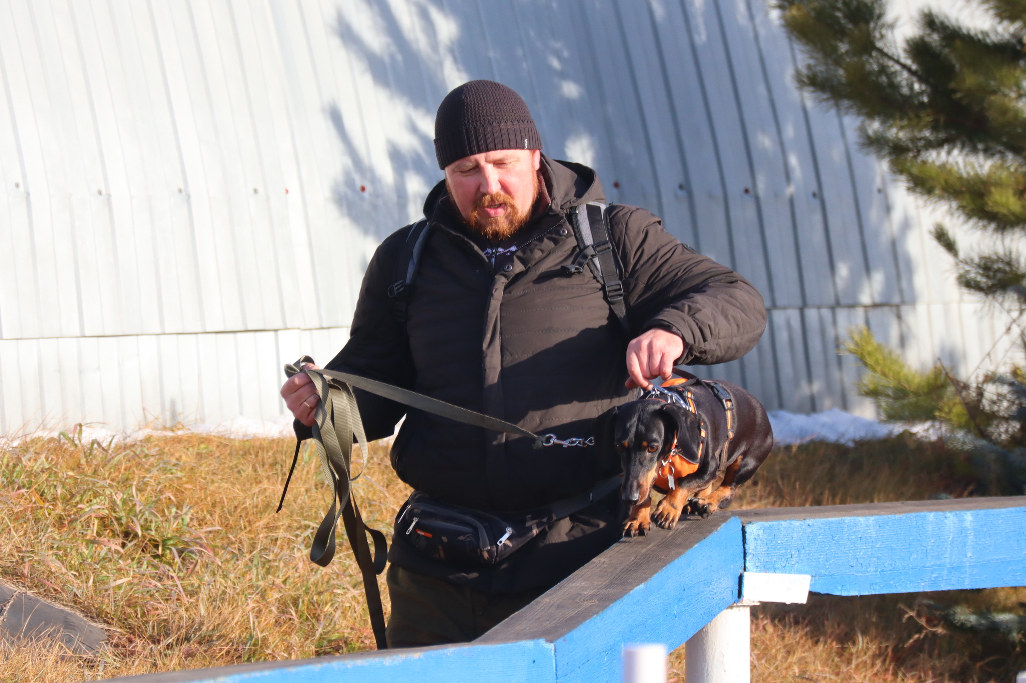 Дрессировка собак в Омске ОЦССС 03.11.2024 - Собака, Щенки, Омск, Дрессировка, Оцссс, Друг, Забота, Доброта, Собаководство, Друзья, Длиннопост