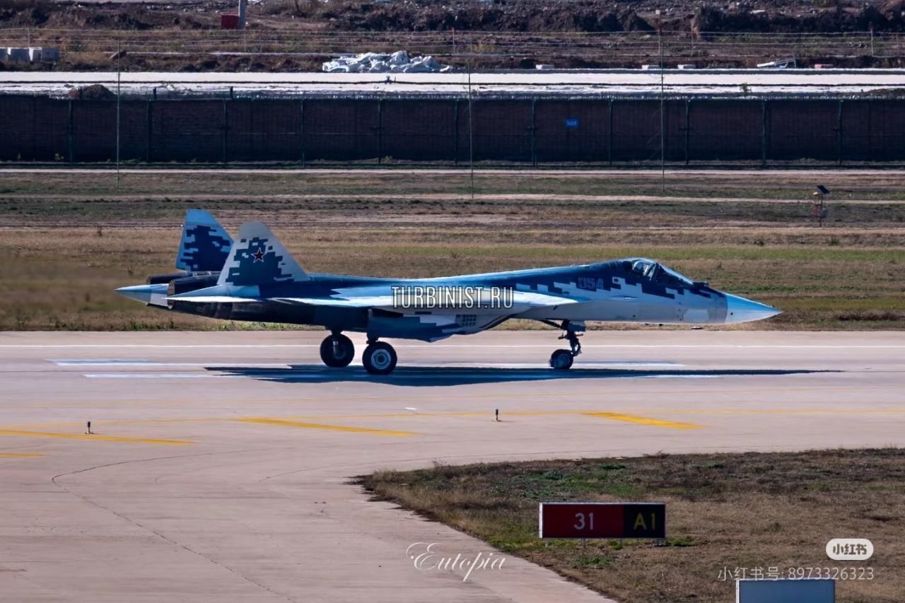 Su-57 delights Chinese (Part 1) - Su-57, China, Exhibition, Airplane, Longpost, Video, Vertical video