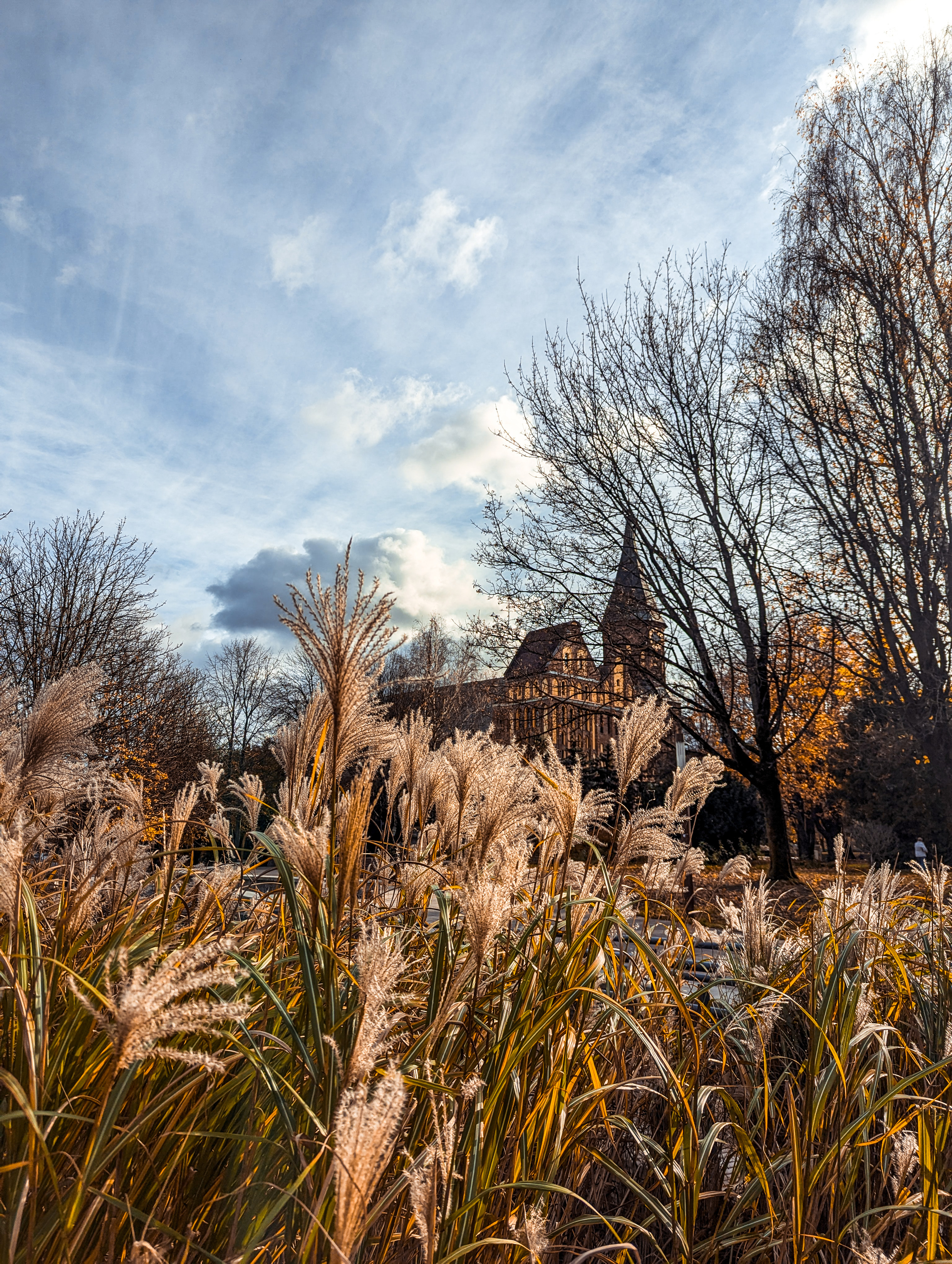 Autumn - My, The photo, Kaliningrad, Autumn, The park, City walk, Walk, Longpost