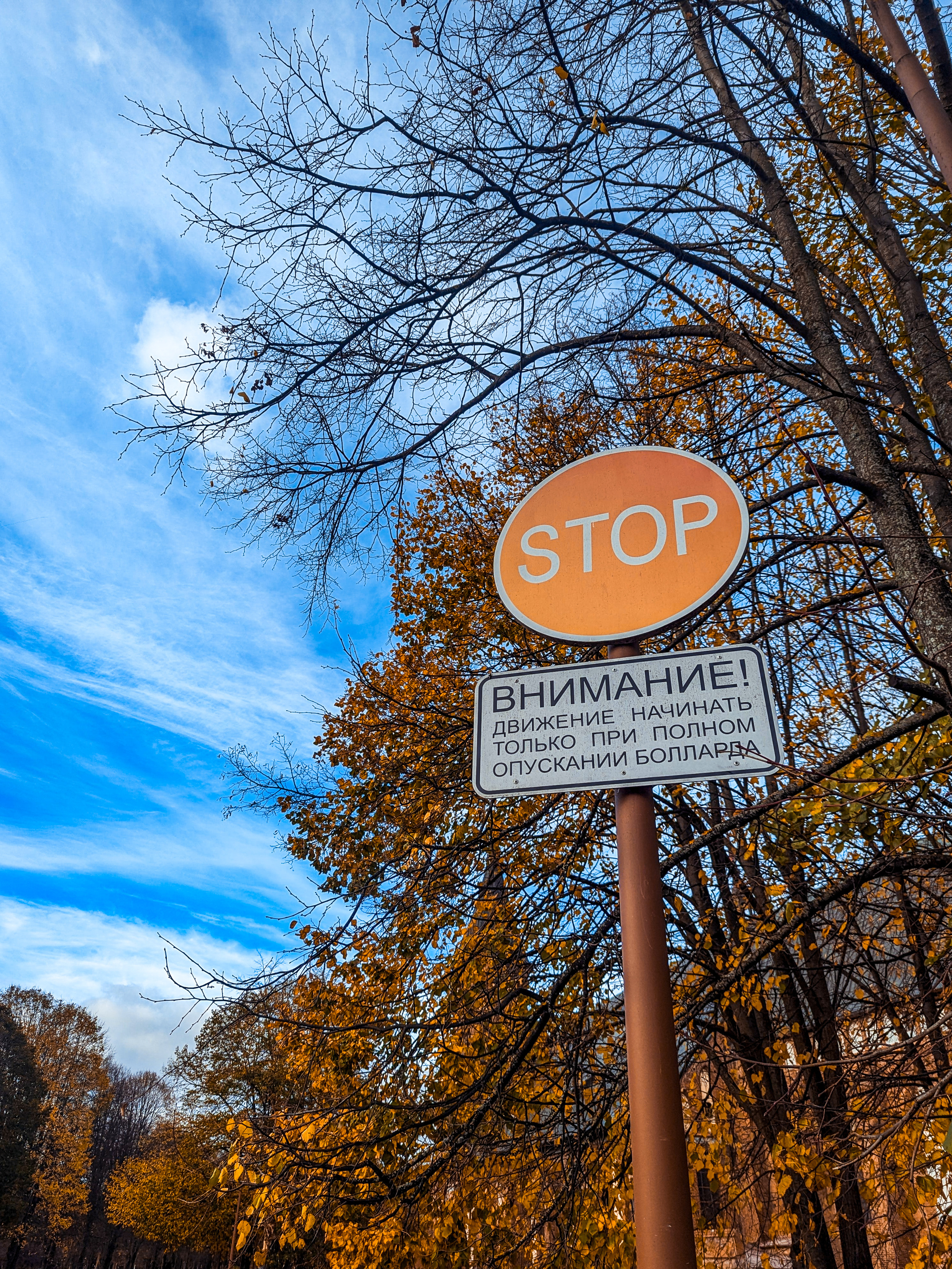 Autumn - My, The photo, Kaliningrad, Autumn, The park, City walk, Walk, Longpost