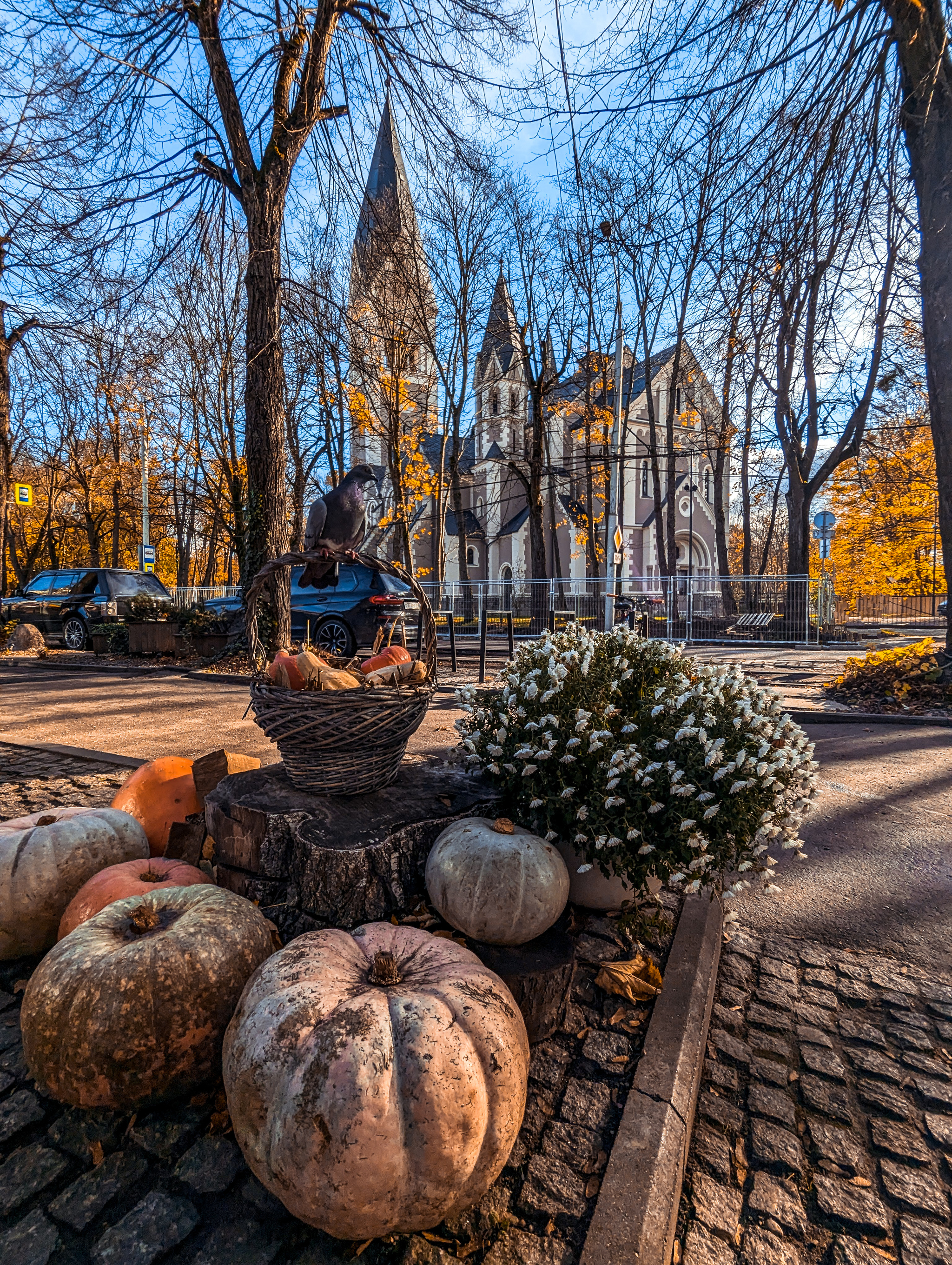 Autumn - My, The photo, Kaliningrad, Autumn, The park, City walk, Walk, Longpost