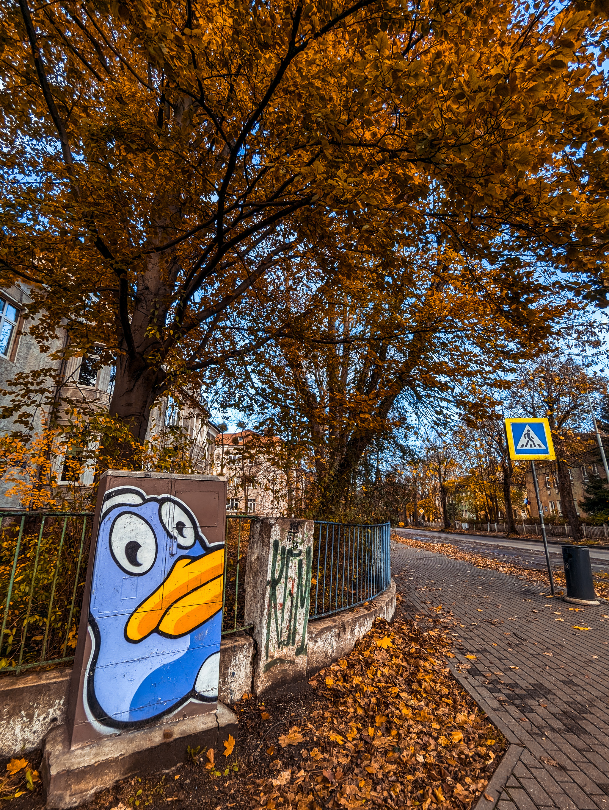 Autumn - My, The photo, Kaliningrad, Autumn, The park, City walk, Walk, Longpost