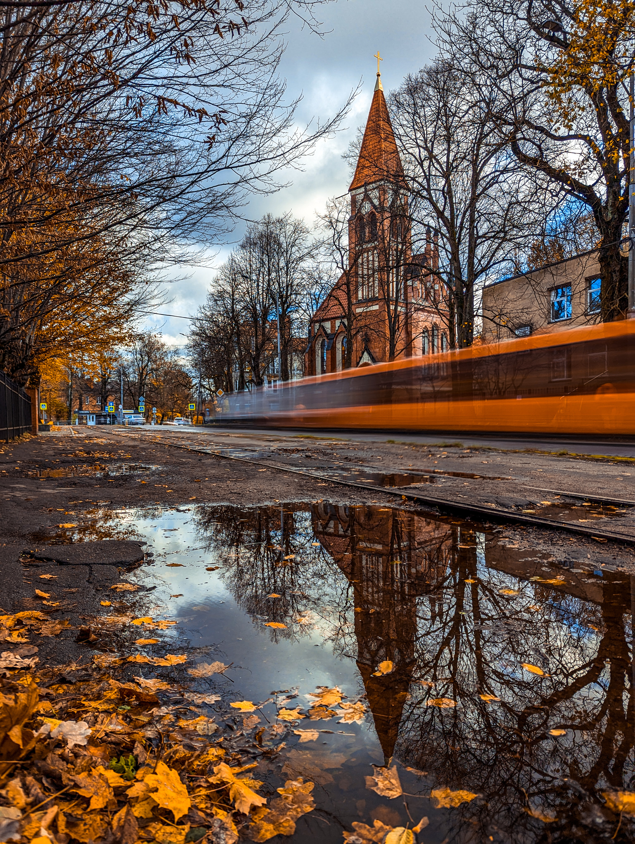 Autumn - My, The photo, Kaliningrad, Autumn, The park, City walk, Walk, Longpost