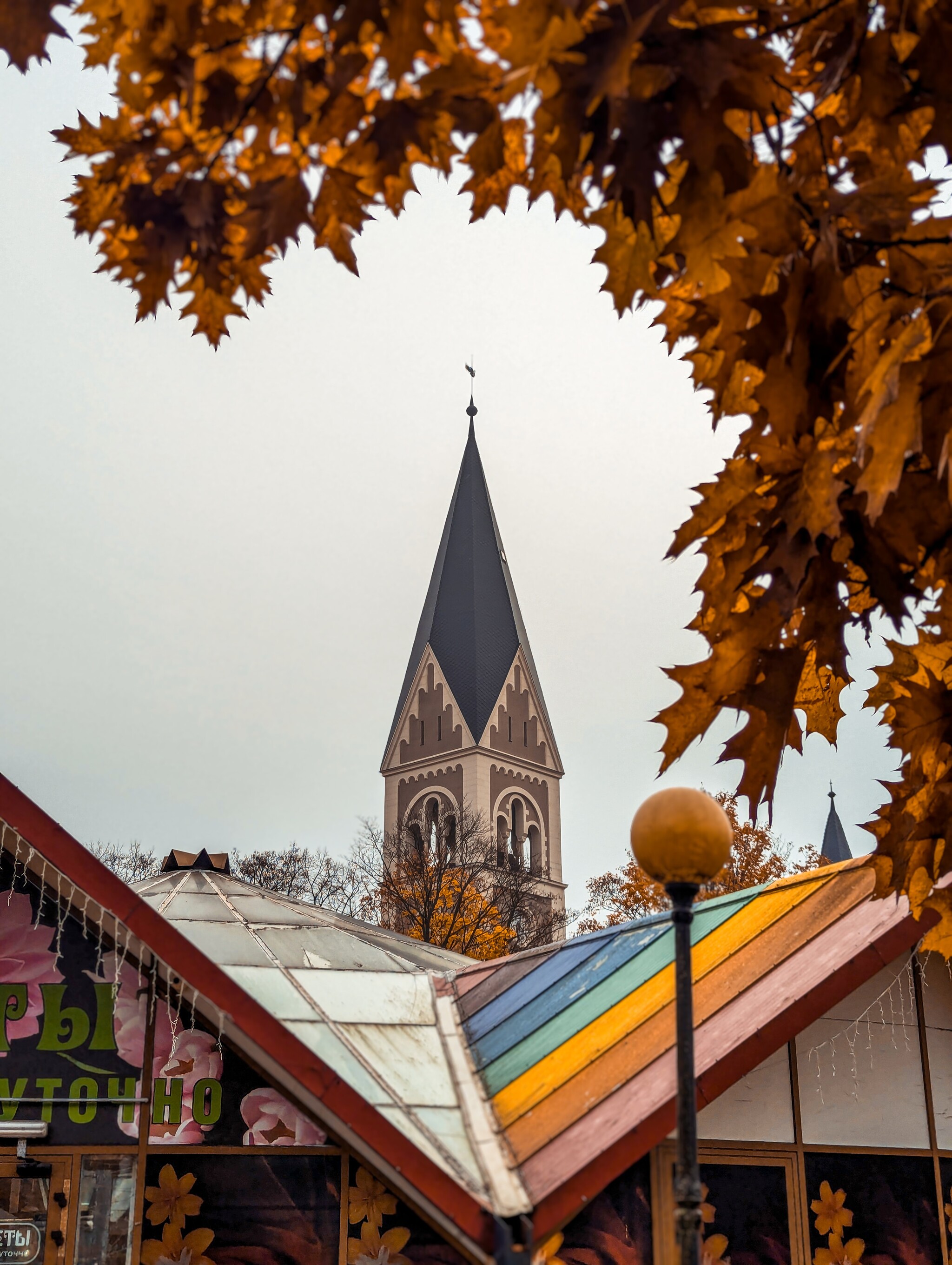 Autumn - My, The photo, Kaliningrad, Autumn, The park, City walk, Walk, Longpost