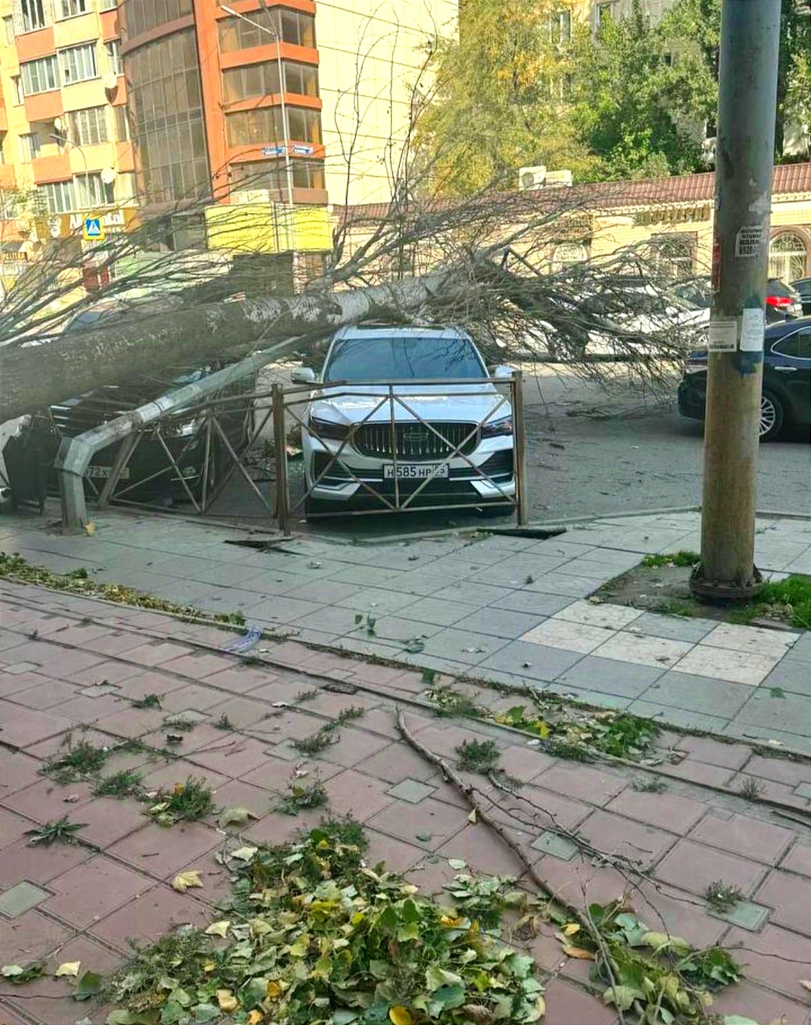 Последствия ветра в Махачкале 05.11.24 - Моё, Ветер, Природа, Фотография, Махачкала, Дагестан, Длиннопост