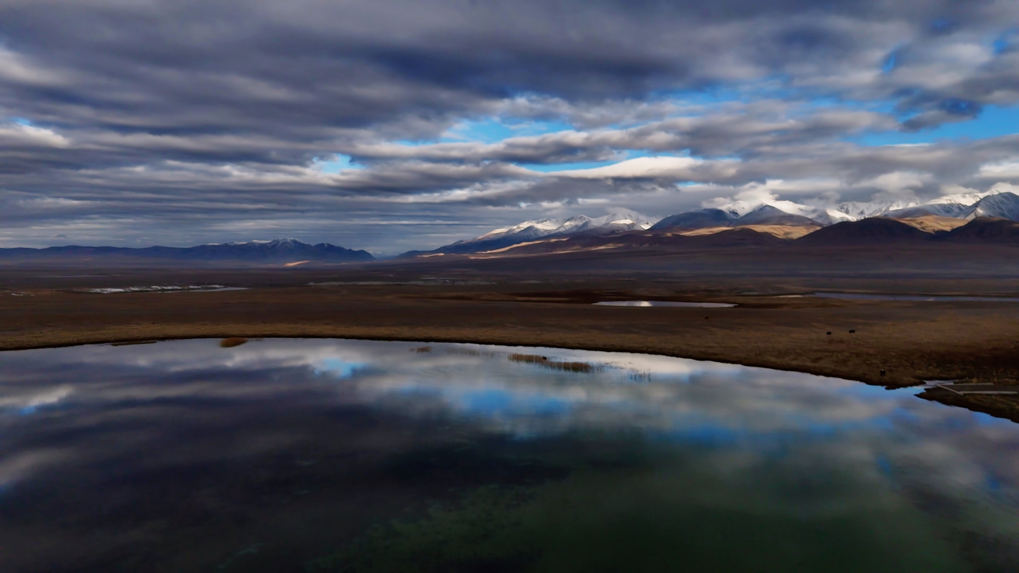 Kosh-Agach - My, Altai Republic, The mountains, River, Quadcopter, Flight, Autumn, The rocks, Beautiful view, Freshness, Travels, Travel across Russia, Mountain tourism, Kosh-Agach, Puddle