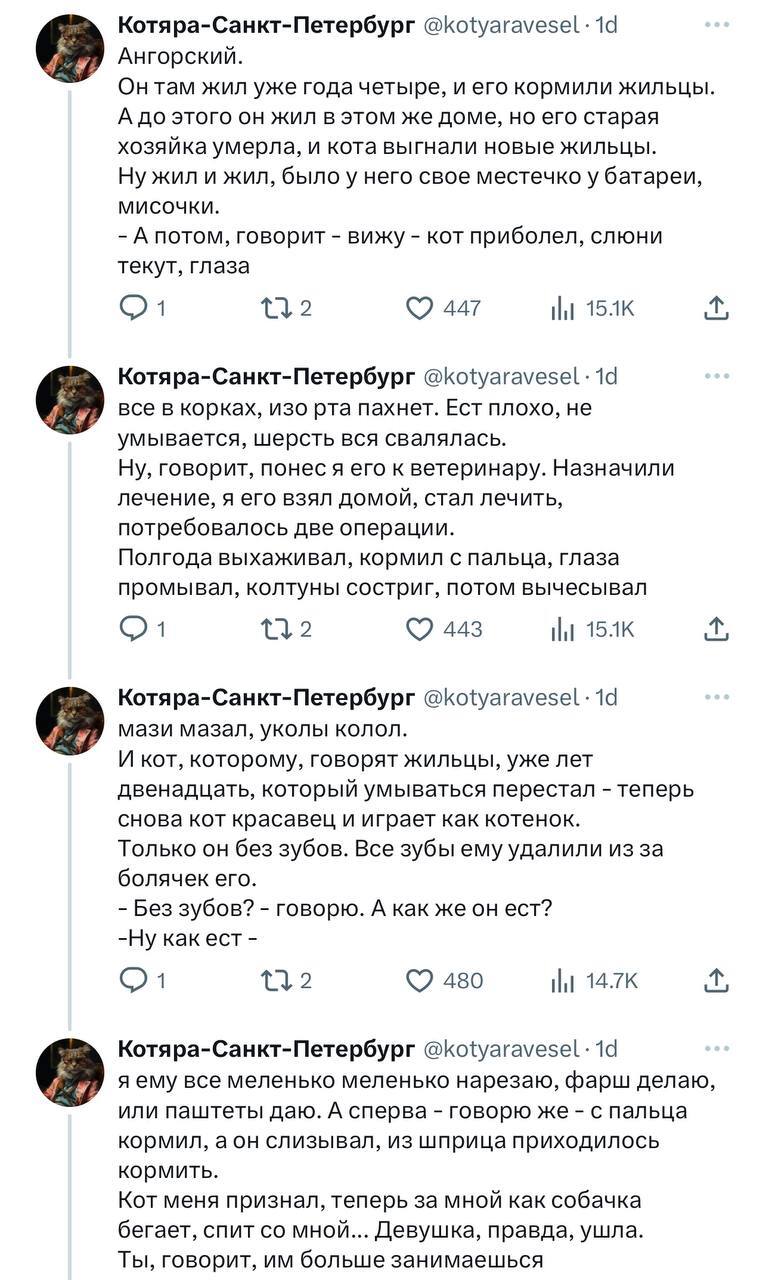 The most touching story of the day: a taxi driver broke up with his girlfriend to nurse a cat with different colored eyes - Screenshot, Taxi, Taxi driver, Twitter, Longpost, cat