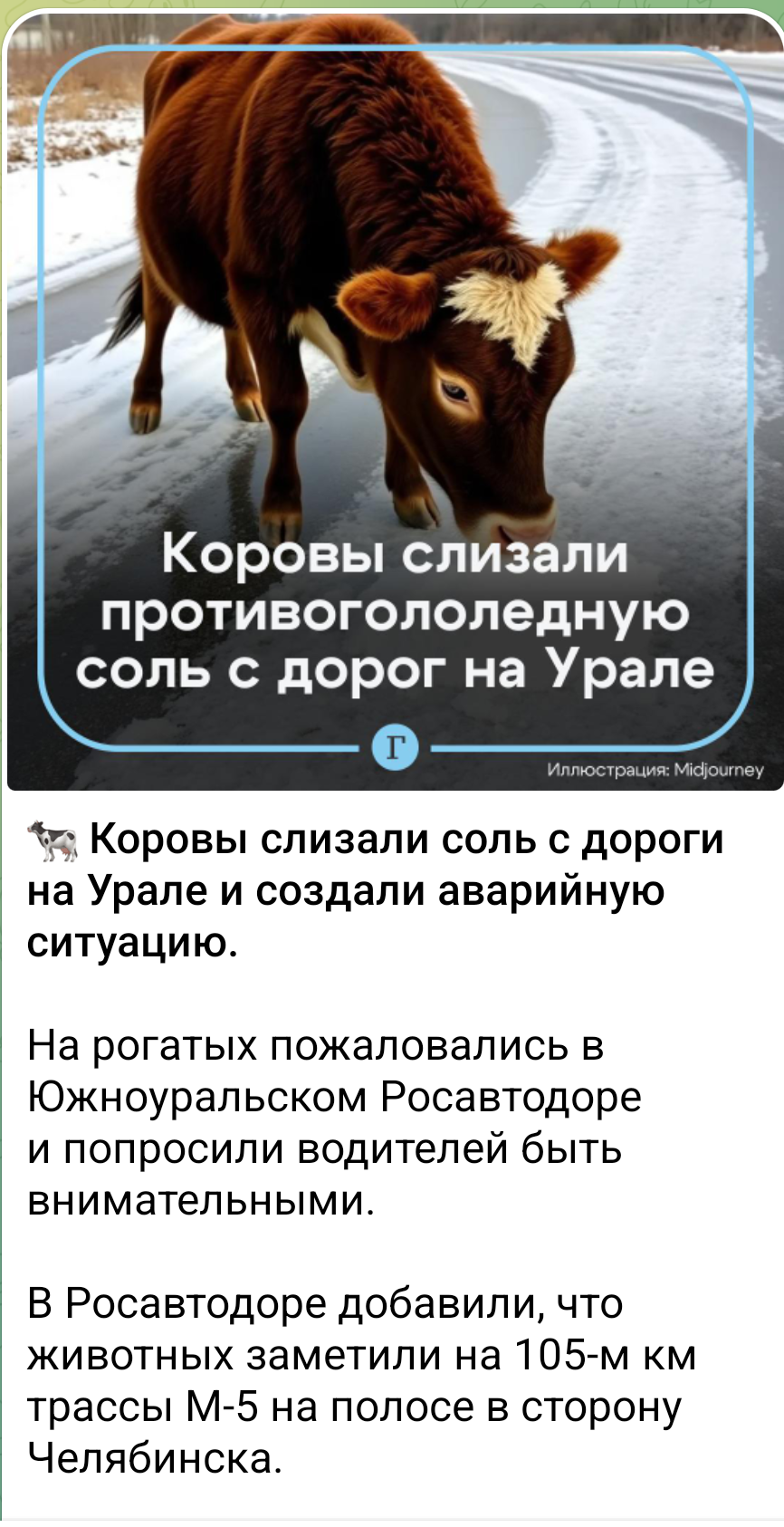 Солевые коровы | Пикабу