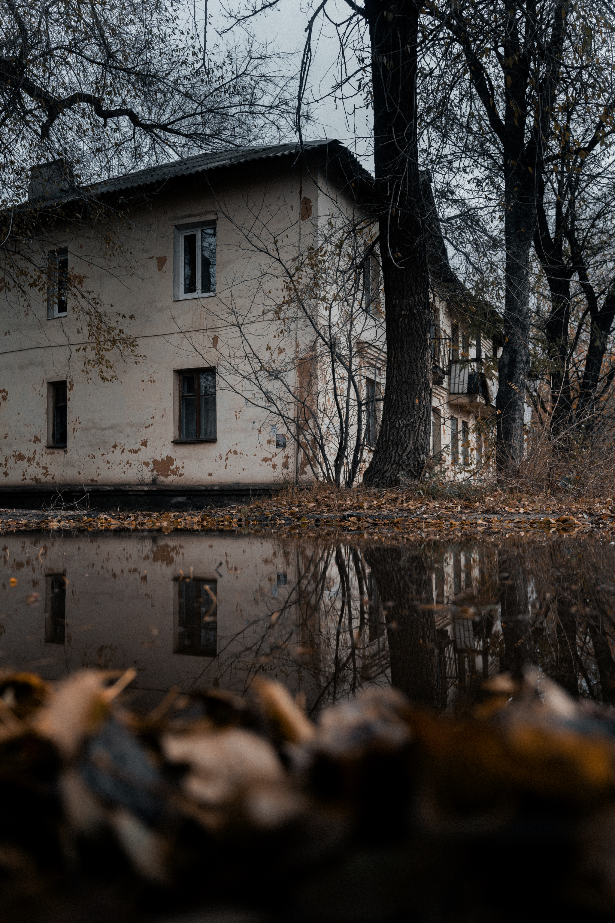 In the morning, my colleague and I went for a run around the city and got caught in a snowstorm. That's what cold November is like! - My, The photo, Photographer, Beginning photographer, Photo processing, Longpost