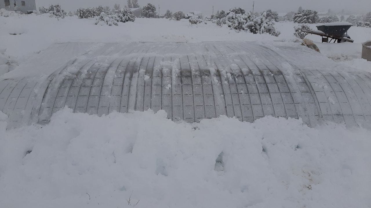 Current situation. Geothermal greenhouse - Harvest, Garden, Video