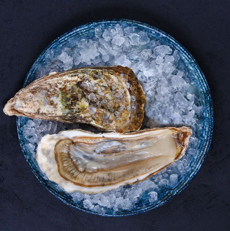 Why is it a shame to eat oysters? - My, Biology, Food, A restaurant, Facts, Oysters