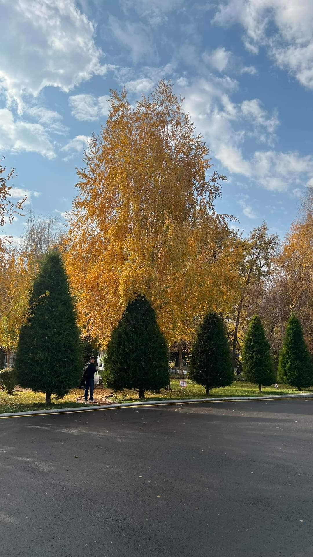 November Autumn and the great Shota Rustaveli! Tashkent 2024 - Tashkent, Images, 2024, November, Autumn, Longpost