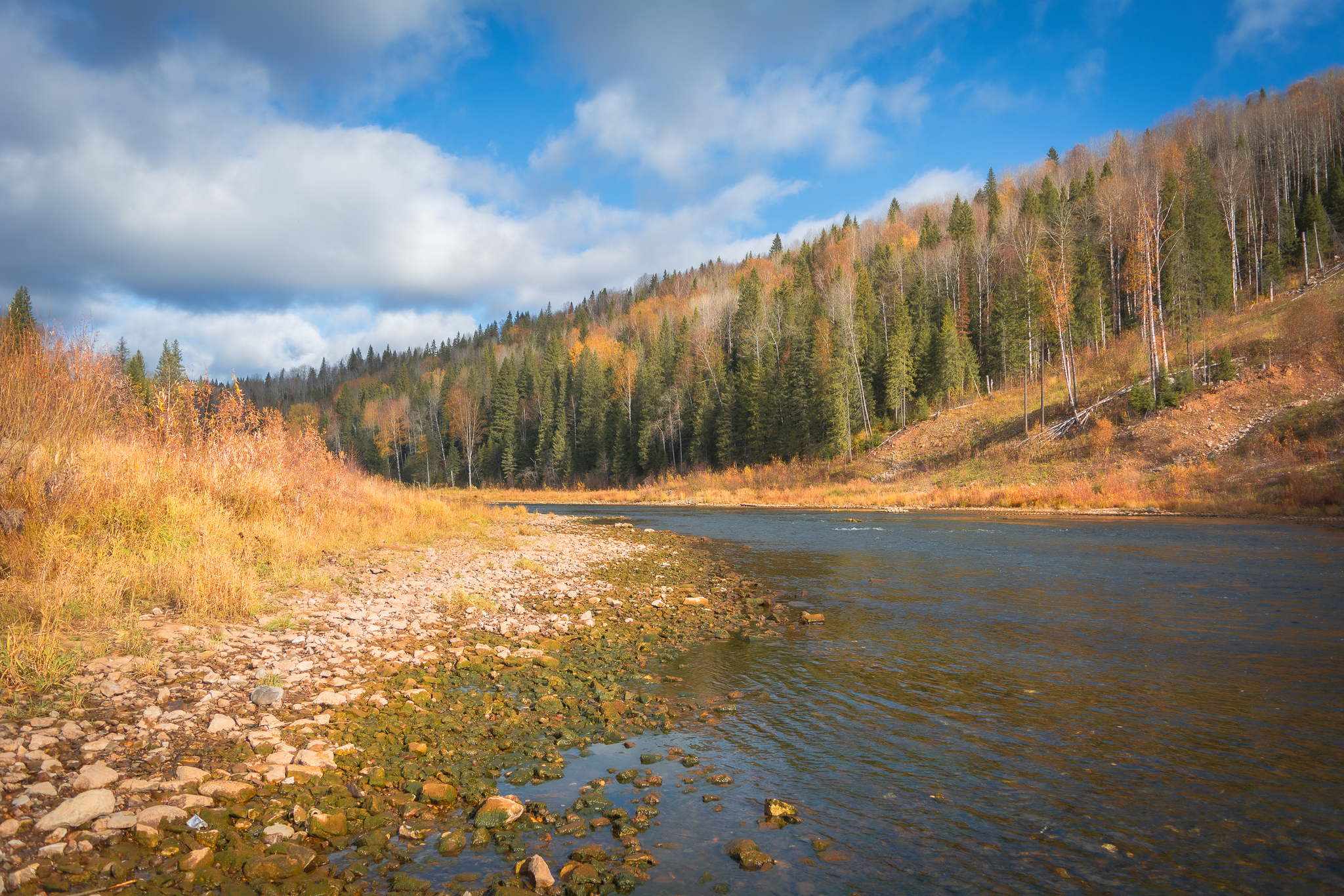 Autumn has gone, but told me not to be sad and to wait for her in a year - My, Autumn, The photo, River, Landscape, Nature, Usva, Usva pillars, Beautiful view