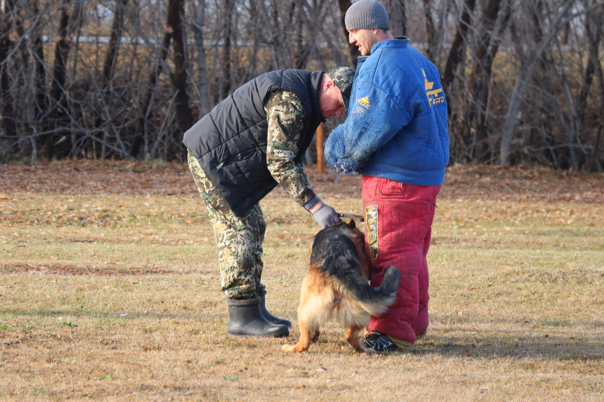 Дрессировка собак в Омске ОЦССС 03.11.2024 - Собака, Щенки, Омск, Дрессировка, Оцссс, Друг, Забота, Доброта, Собаководство, Друзья, Длиннопост