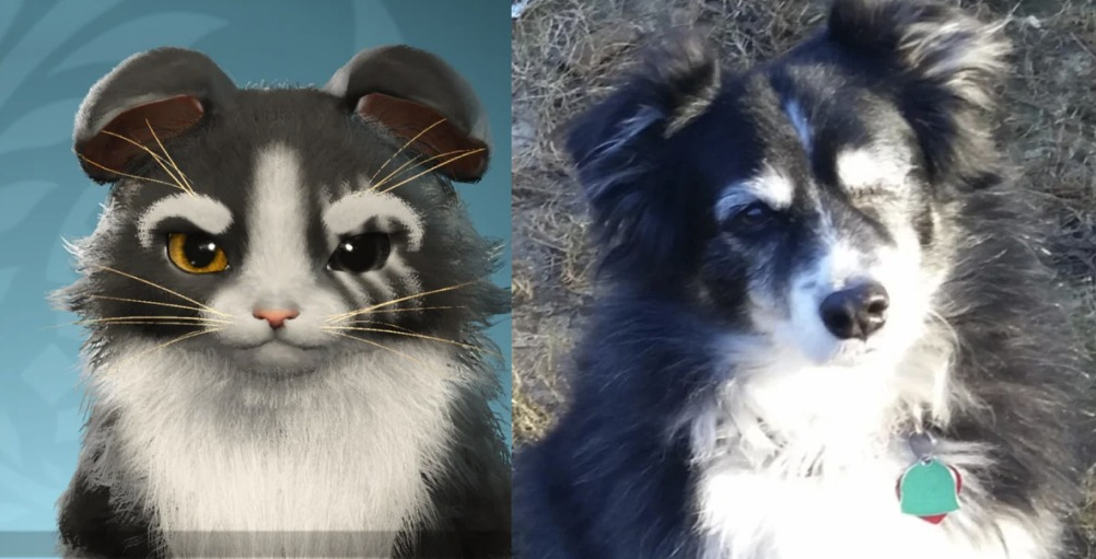 In Monster Hunter: Wilds, players can create a Palico in memory of their pets, so their spirit will always be with them in the new world - Computer games, Game world news, Monster hunter, Pets, Games, cat, Dog, Fluffy, Video game, Longpost