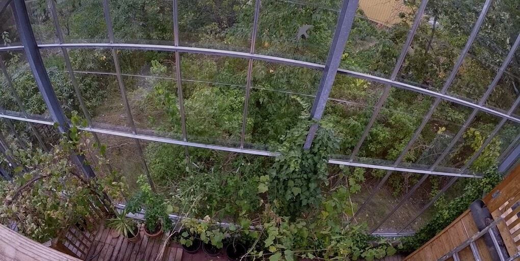 Swedish family turns their home into a giant greenhouse that's the envy of more than just tomatoes - Architecture, The property, Heating, Telegram (link), Longpost