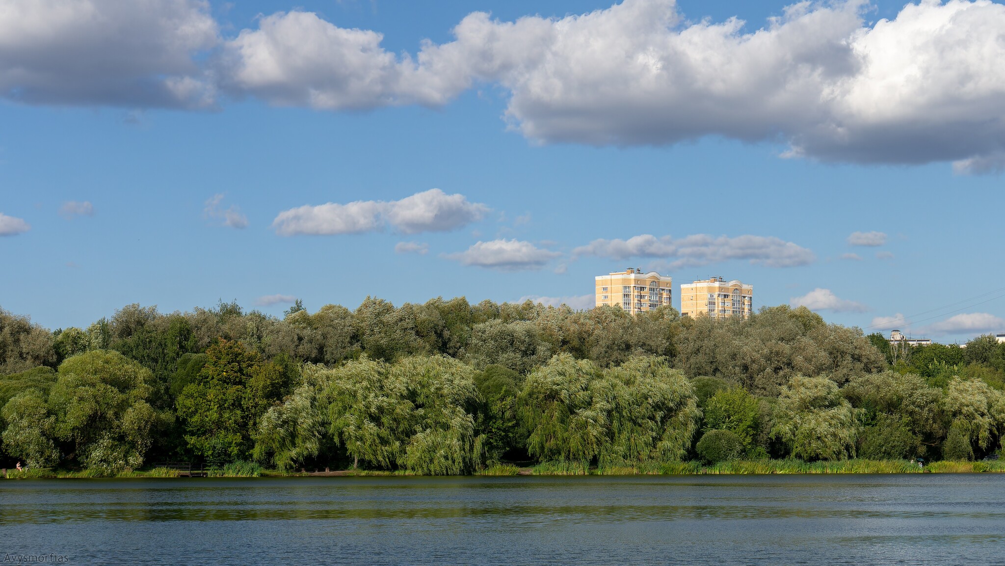 In the park - My, The photo, Nature, Lake, The park, Pokrovskoye-Streshnevo