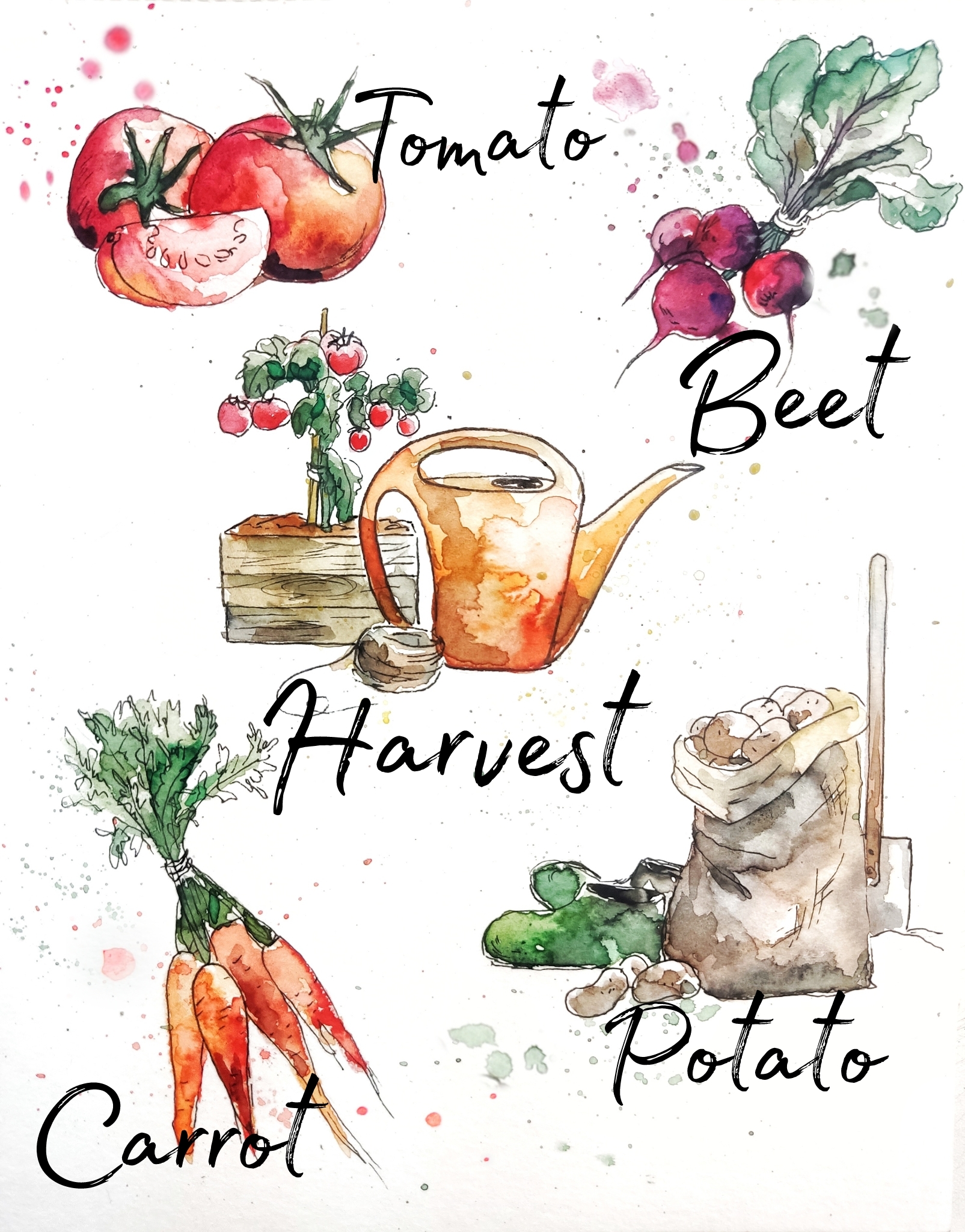 Harvest - My, Art, Watercolor, Sketch, Harvest, Drawing