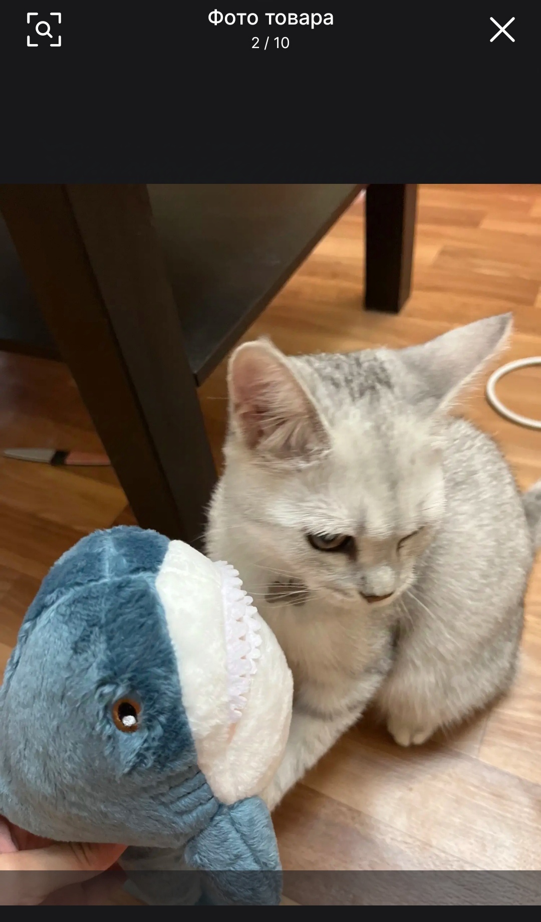 It seems we have begun to forget what normal reviews should look like. - Creative, Shark, Soft toy, Reviews on Aliexpress, Longpost