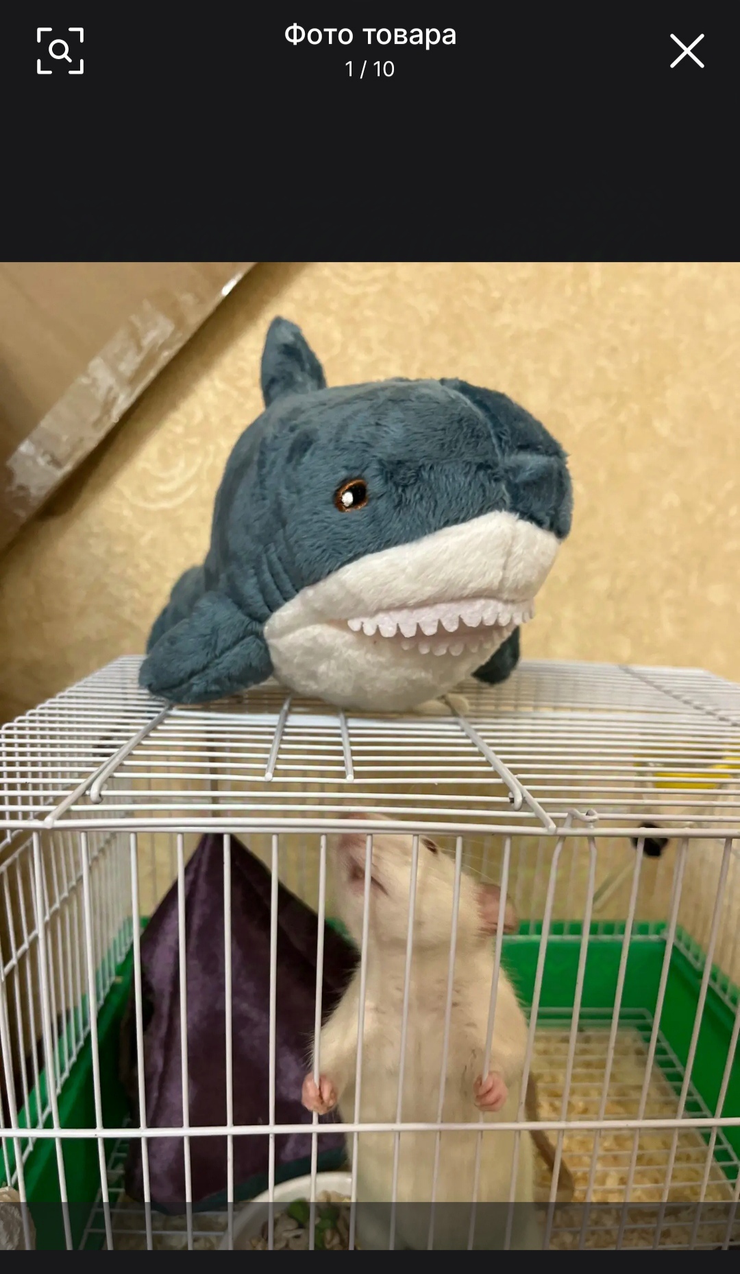 It seems we have begun to forget what normal reviews should look like. - Creative, Shark, Soft toy, Reviews on Aliexpress, Longpost