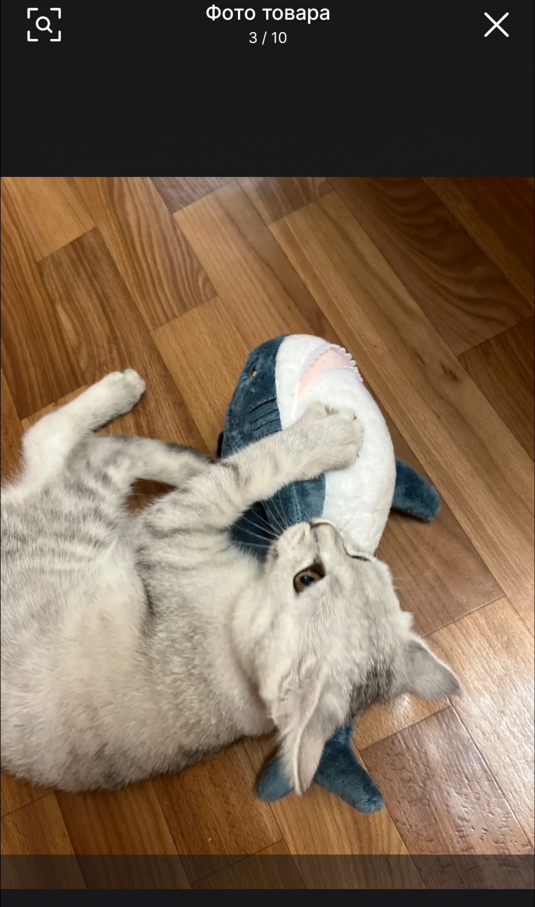 It seems we have begun to forget what normal reviews should look like. - Creative, Shark, Soft toy, Reviews on Aliexpress, Longpost