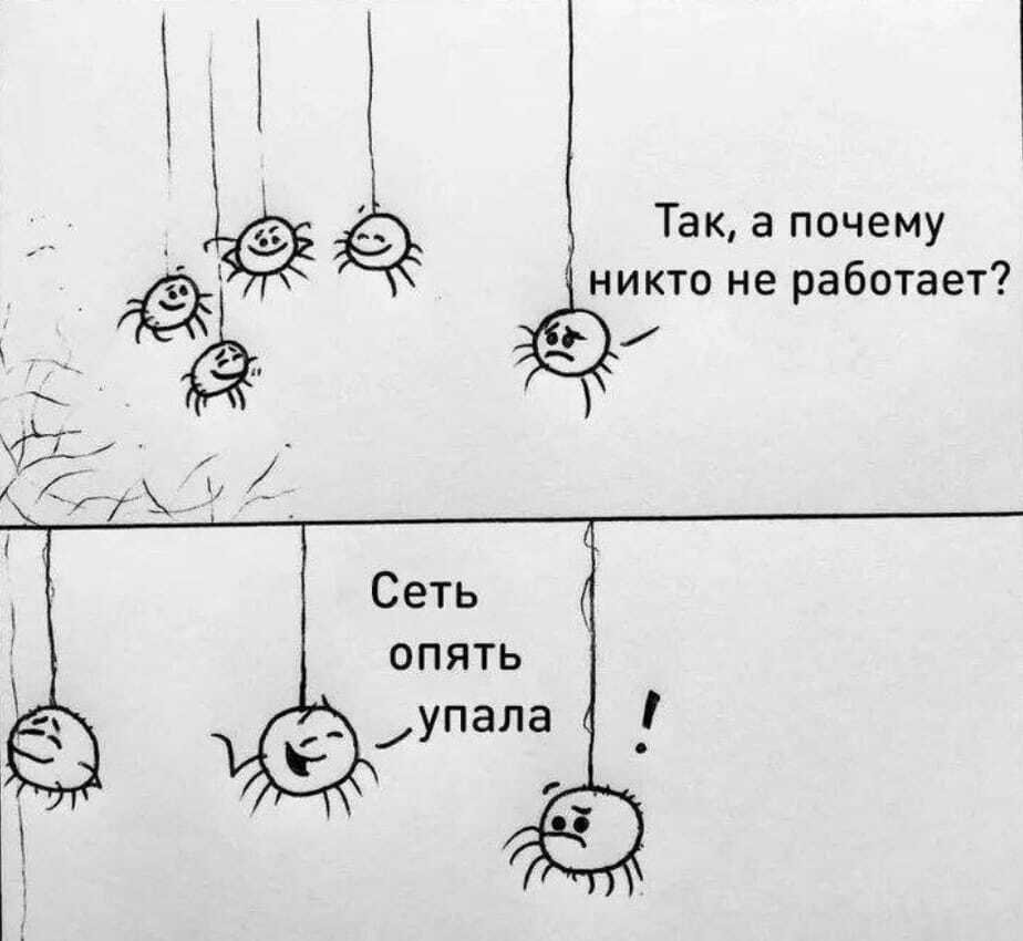 RKN is working - Humor, Picture with text, Spider, Networks, Roskomnadzor