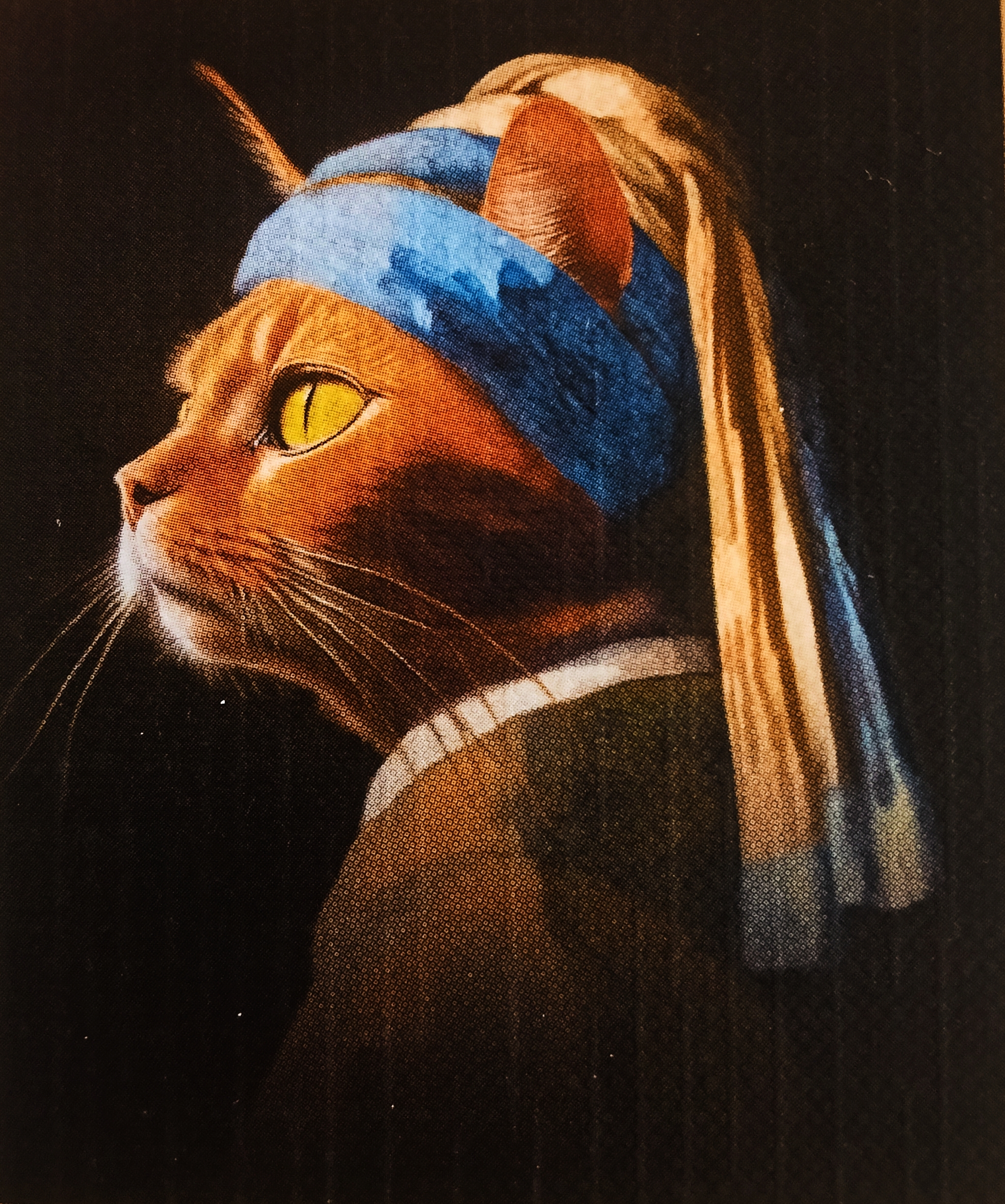 A little bit of photoshop - Girl with a pearl earring, Fluffy, Tricolor cat, Notebook, Longpost