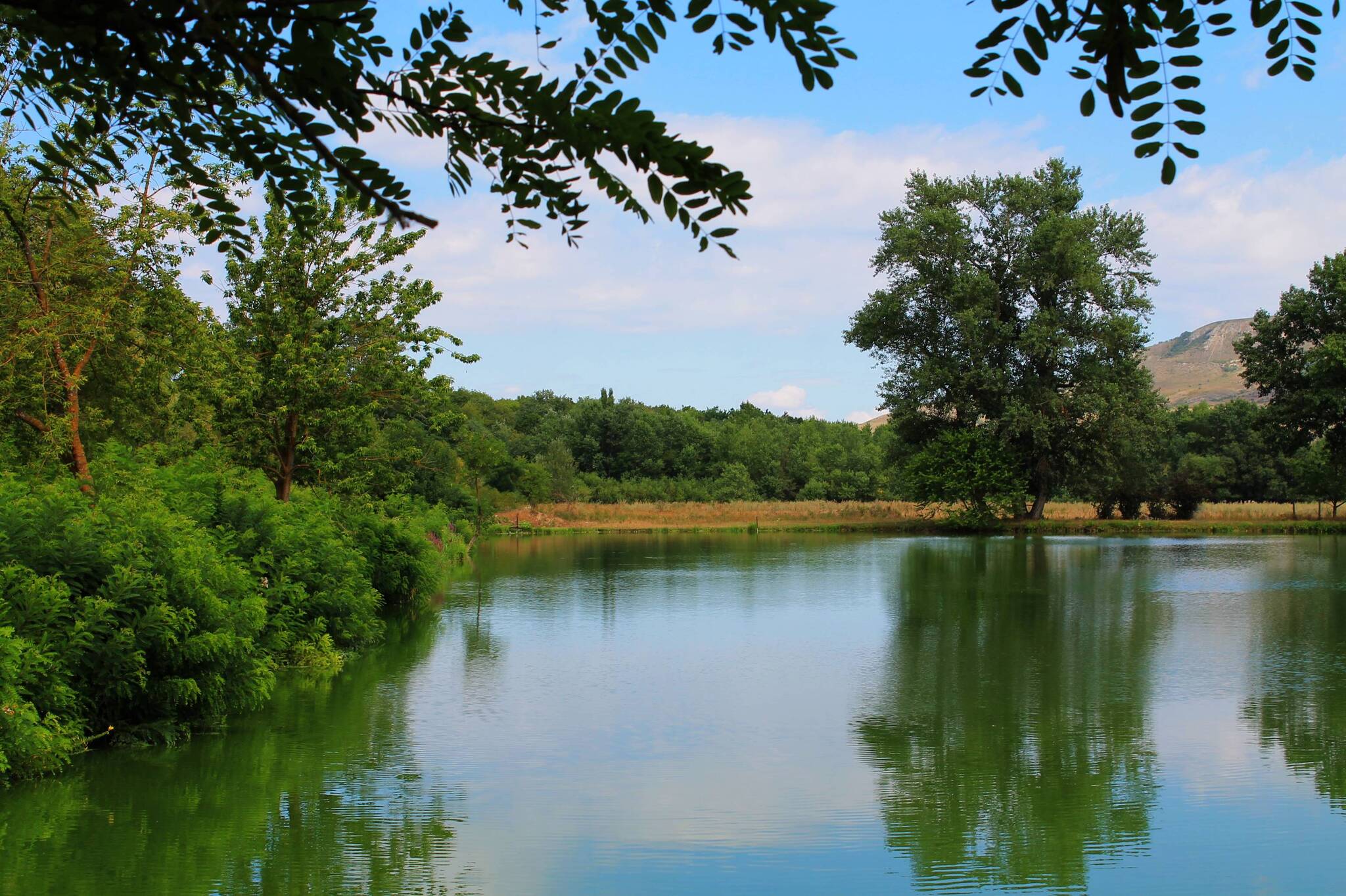 Peace of mind - My, The photo, Nature, Landscape, River, Plants, Reflection