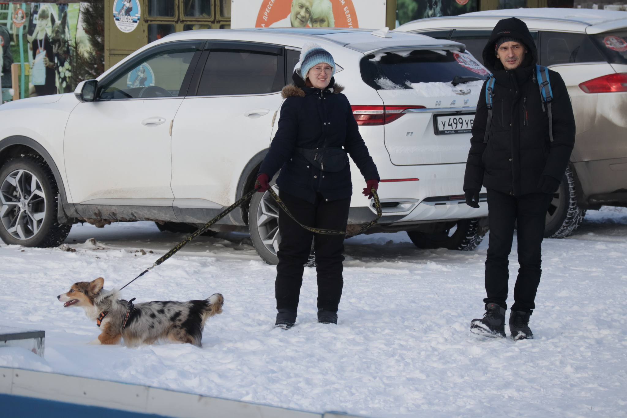 Дрессировка собак в Омске ОЦССС 09.11.2024 - Собака, Щенки, Омск, Дрессировка, Оцссс, Друг, Забота, Доброта, Собаководство, Друзья, Длиннопост