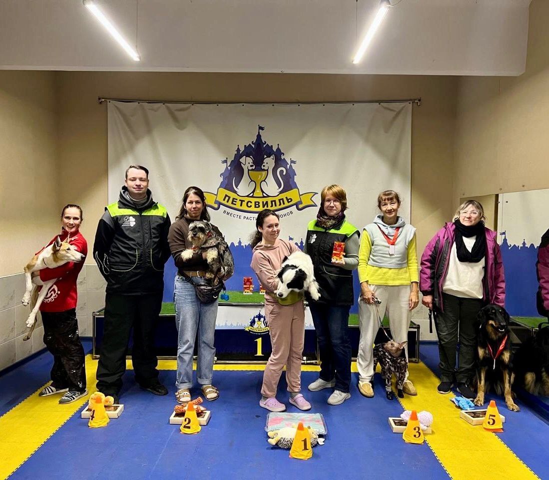 Meanwhile, Vivka is the Vice Champion of Nosework, congratulations - Crossposting, Pikabu publish bot, Dog