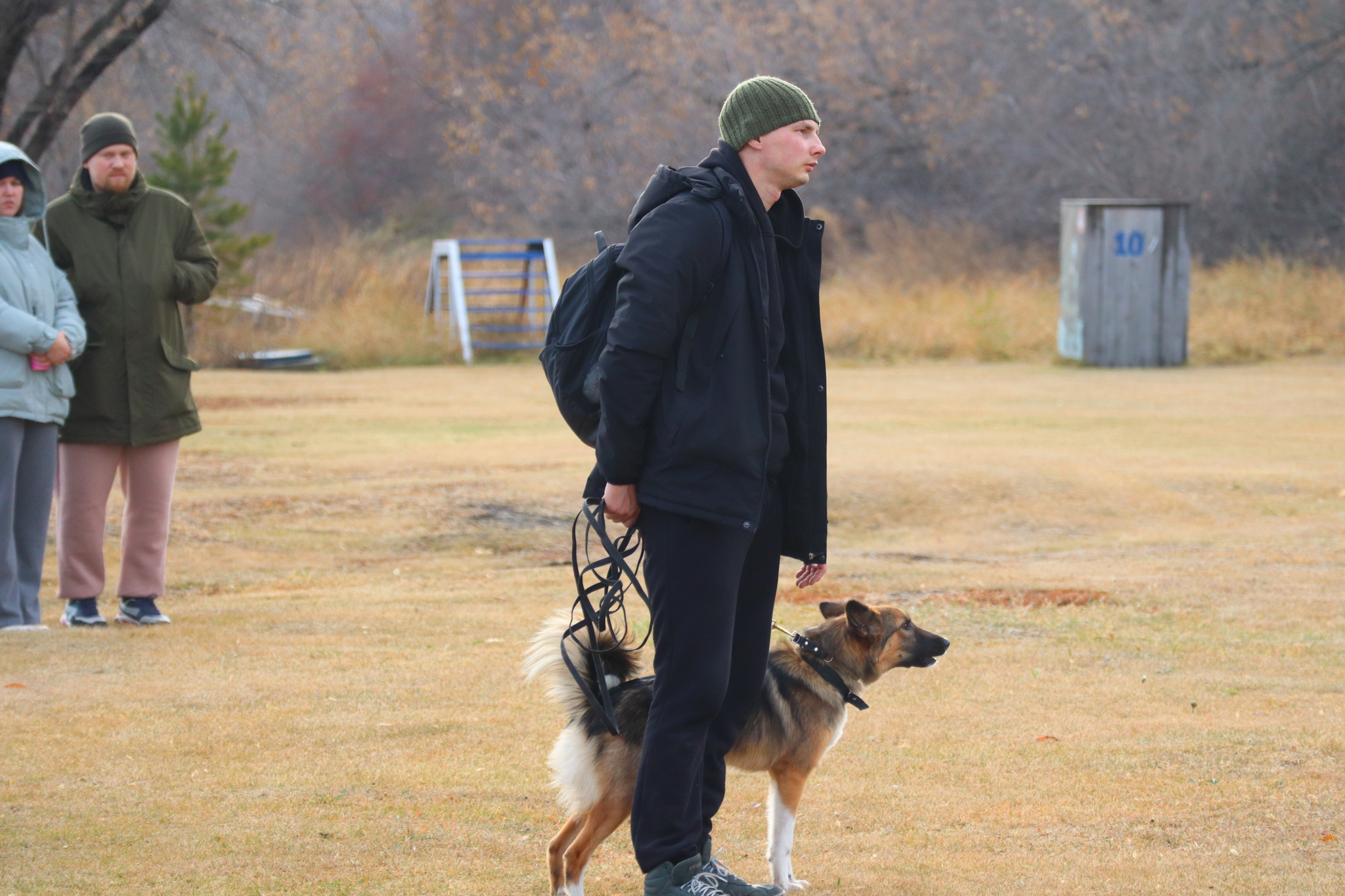 Dog training in Omsk OCSSSS 03.11.2024 - Dog, Puppies, Omsk, Training, Г“Г±Г±Г±, Friend, Care, Kindness, Dog breeding, Friends, Longpost