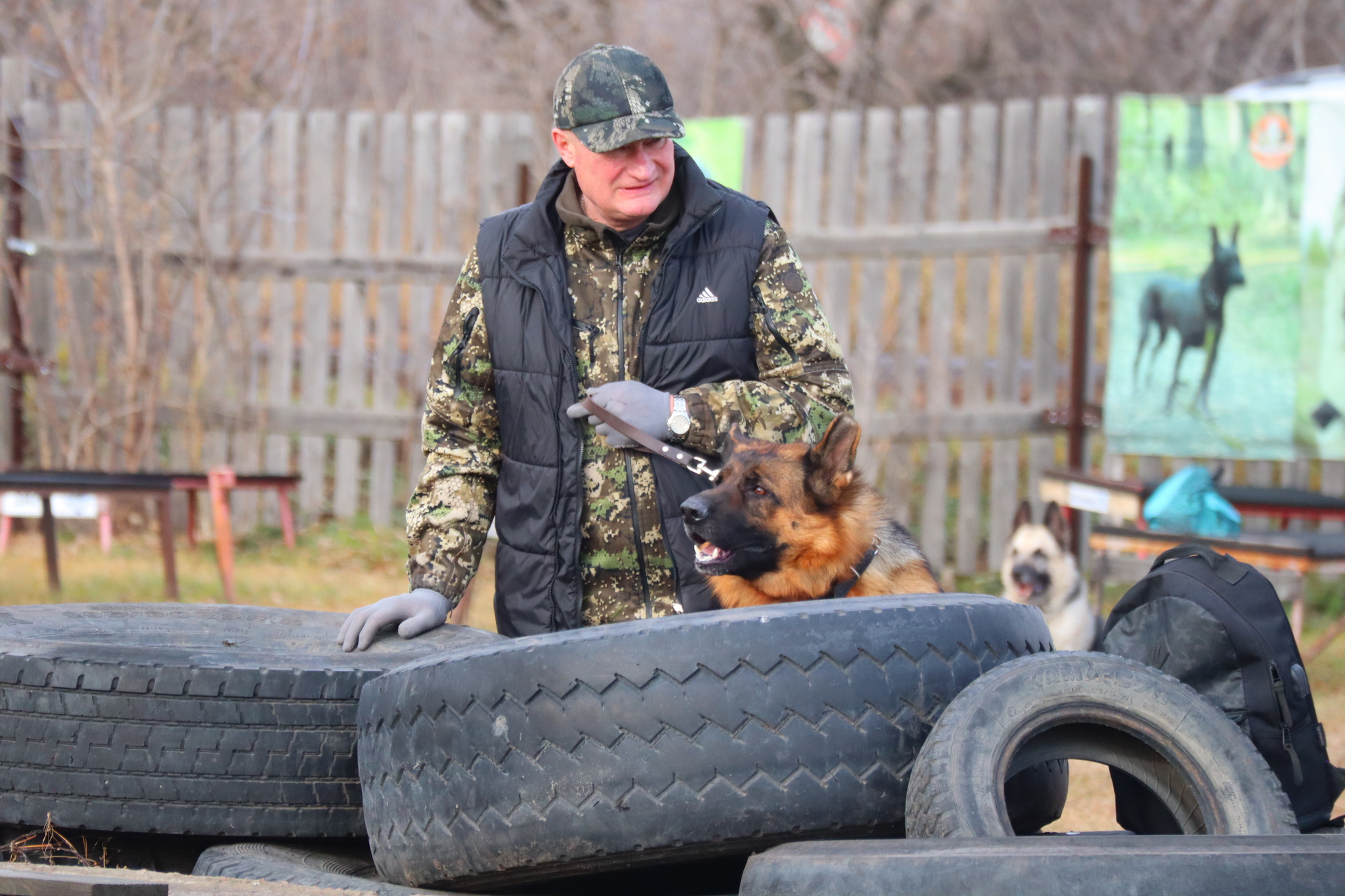 Dog training in Omsk OCSSSS 03.11.2024 - Dog, Puppies, Omsk, Training, Г“Г±Г±Г±, Friend, Care, Kindness, Dog breeding, Friends, Longpost