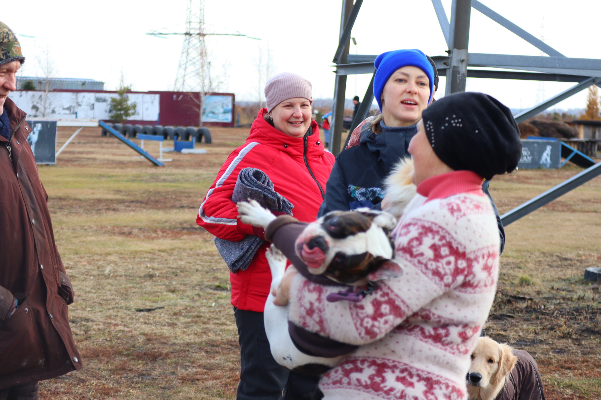 Dog training in Omsk OCSSSS 03.11.2024 - Dog, Puppies, Omsk, Training, Г“Г±Г±Г±, Friend, Care, Kindness, Dog breeding, Friends, Longpost