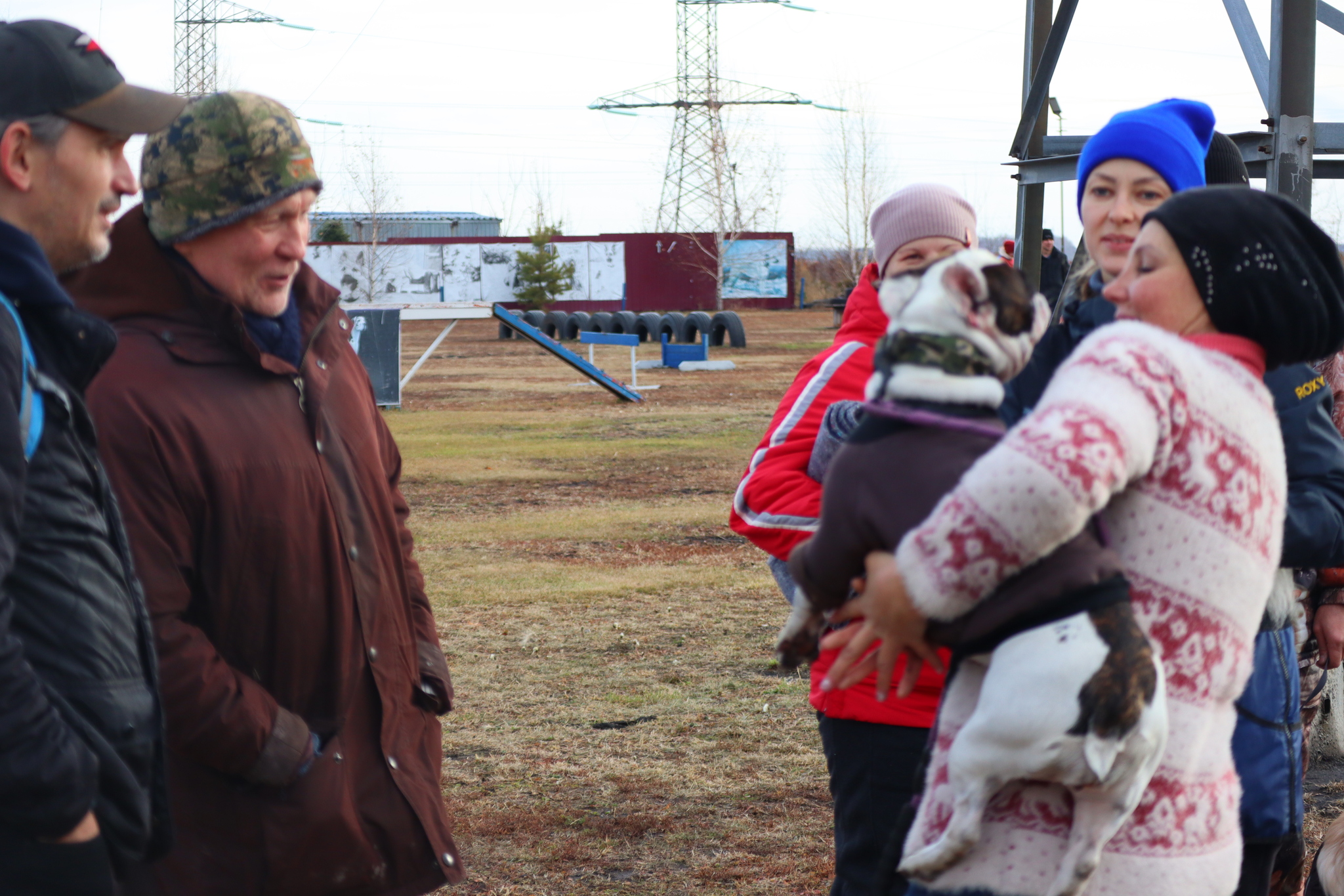 Dog training in Omsk OCSSSS 03.11.2024 - Dog, Puppies, Omsk, Training, Г“Г±Г±Г±, Friend, Care, Kindness, Dog breeding, Friends, Longpost