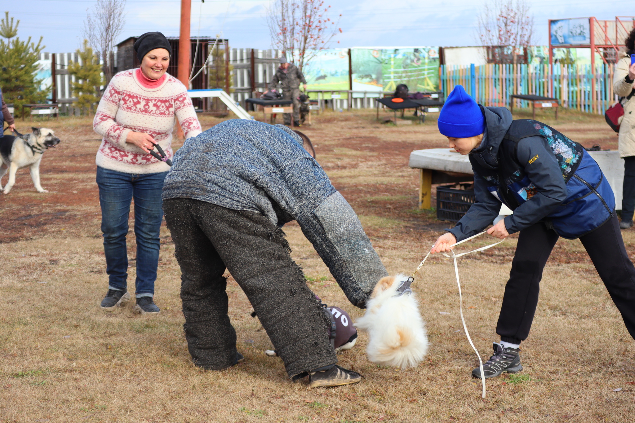 Dog training in Omsk OCSSSS 03.11.2024 - Dog, Puppies, Omsk, Training, Г“Г±Г±Г±, Friend, Care, Kindness, Dog breeding, Friends, Longpost