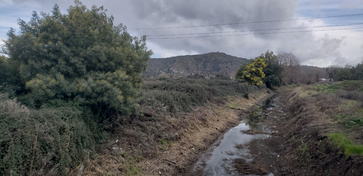 Overnight in a tent in the rain on the way to the South of Chile - My, Solo travel, Bike trip, A bike, Travels, South America, Cyclist, Andes, Cycling, Chile, Bike ride, The mountains, Road, Highway, Video, Youtube, Longpost