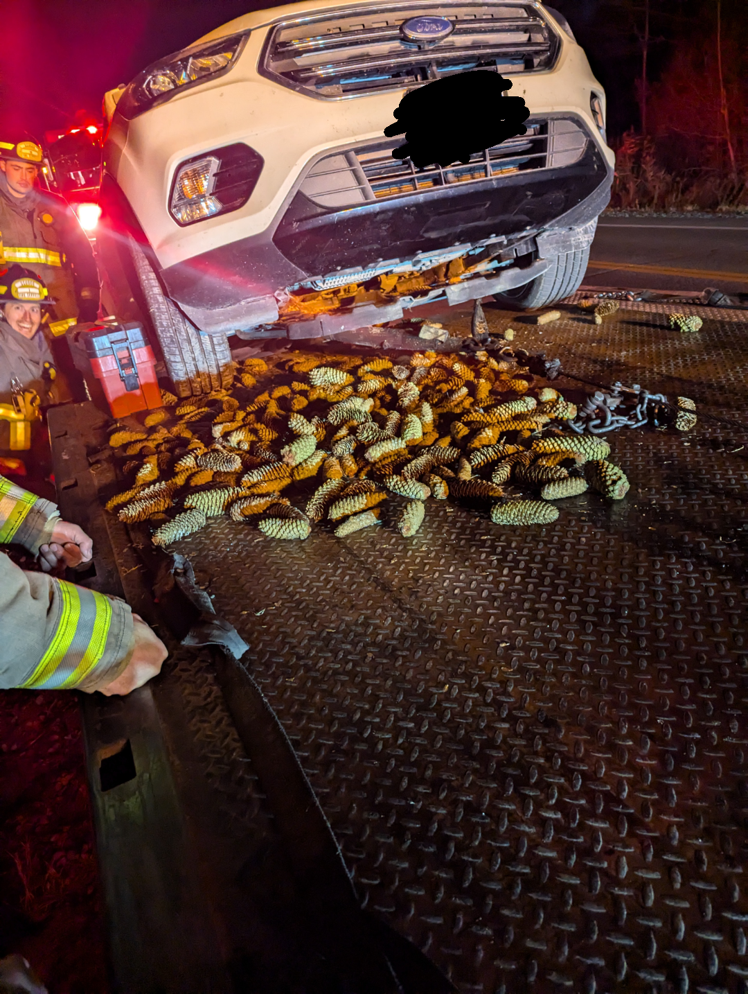 Bookmark - Squirrel, Tow truck, Cones, Rodents, Humor