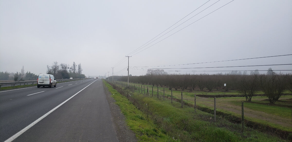 The road calls again. The treacherous Chileans did not sell me bread - My, Bike trip, Solo travel, A bike, Travels, South America, Chile, Patagonia, Andes, Bike ride, Cyclist, Road, Longpost