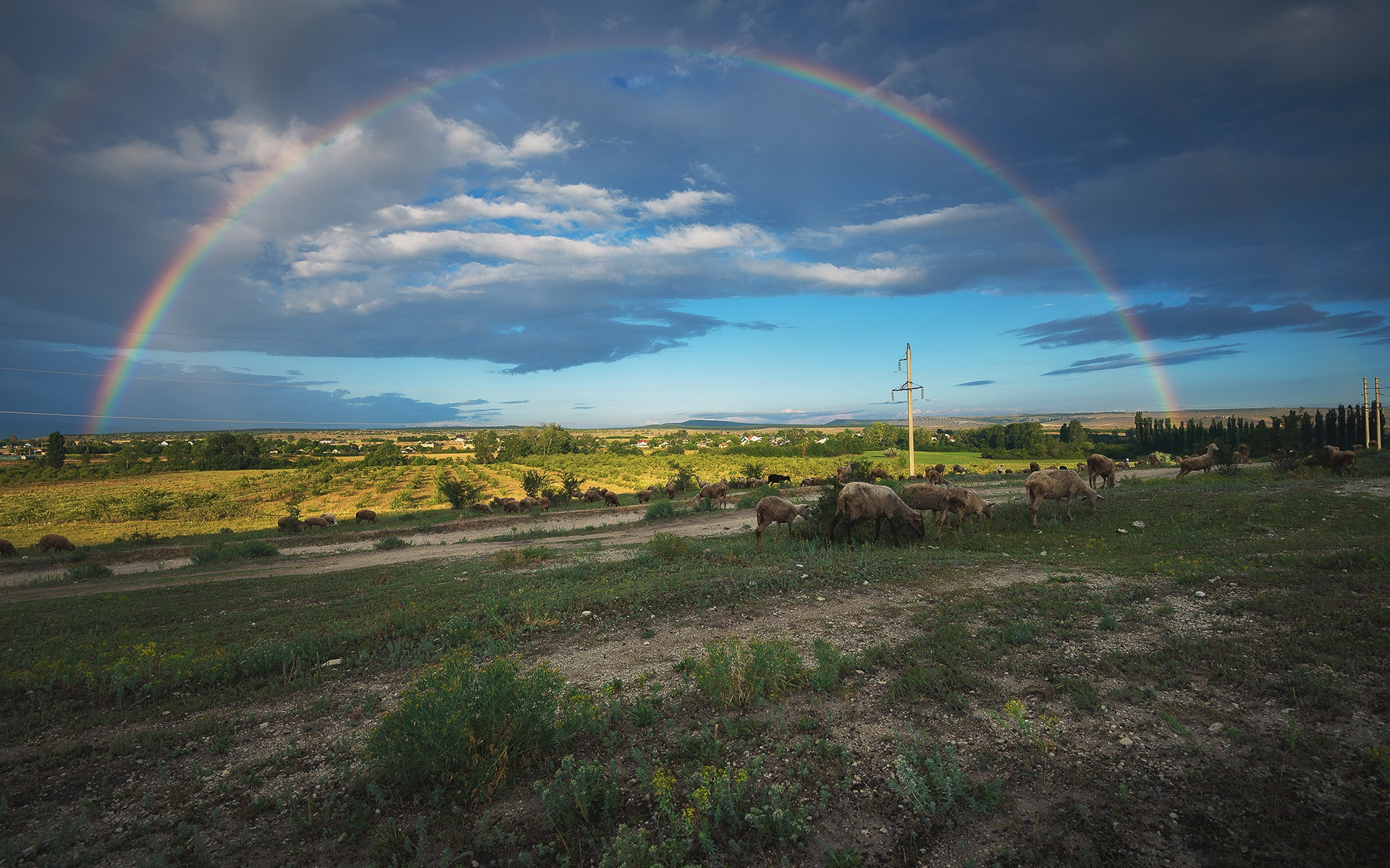 Rainbow - Rainbow, The photo