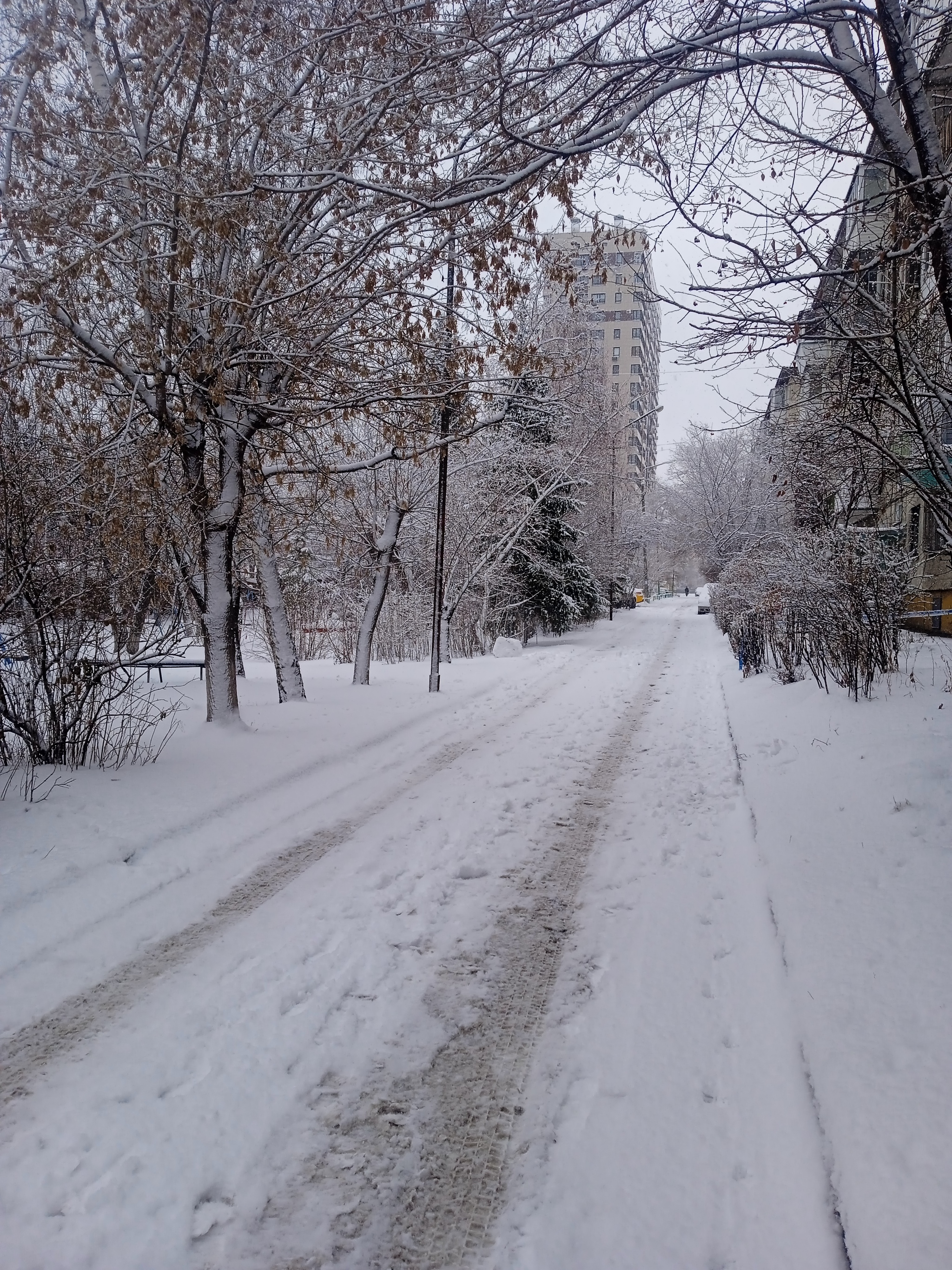 Тем временем в Омске рождаются снеговики - Моё, Омск, Снеговик, Длиннопост