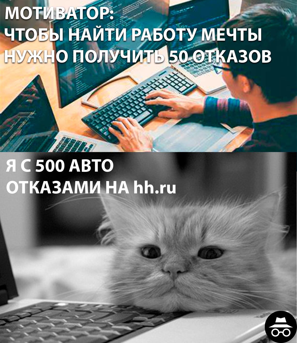 Что творят HR? - Моё, IT, Юмор, Программирование, IT юмор, Программист, Hh, Работа, Поиск работы, Работа HR, Отдел кадров