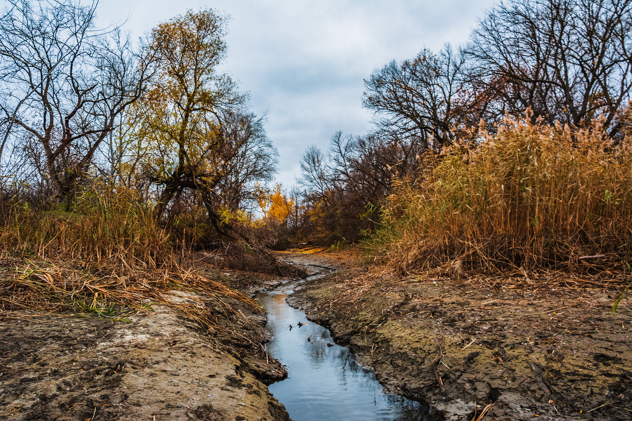 Where the Tuba flows - My, The photo, Nikon, Nature, Landscape, River, mouth, Autumn