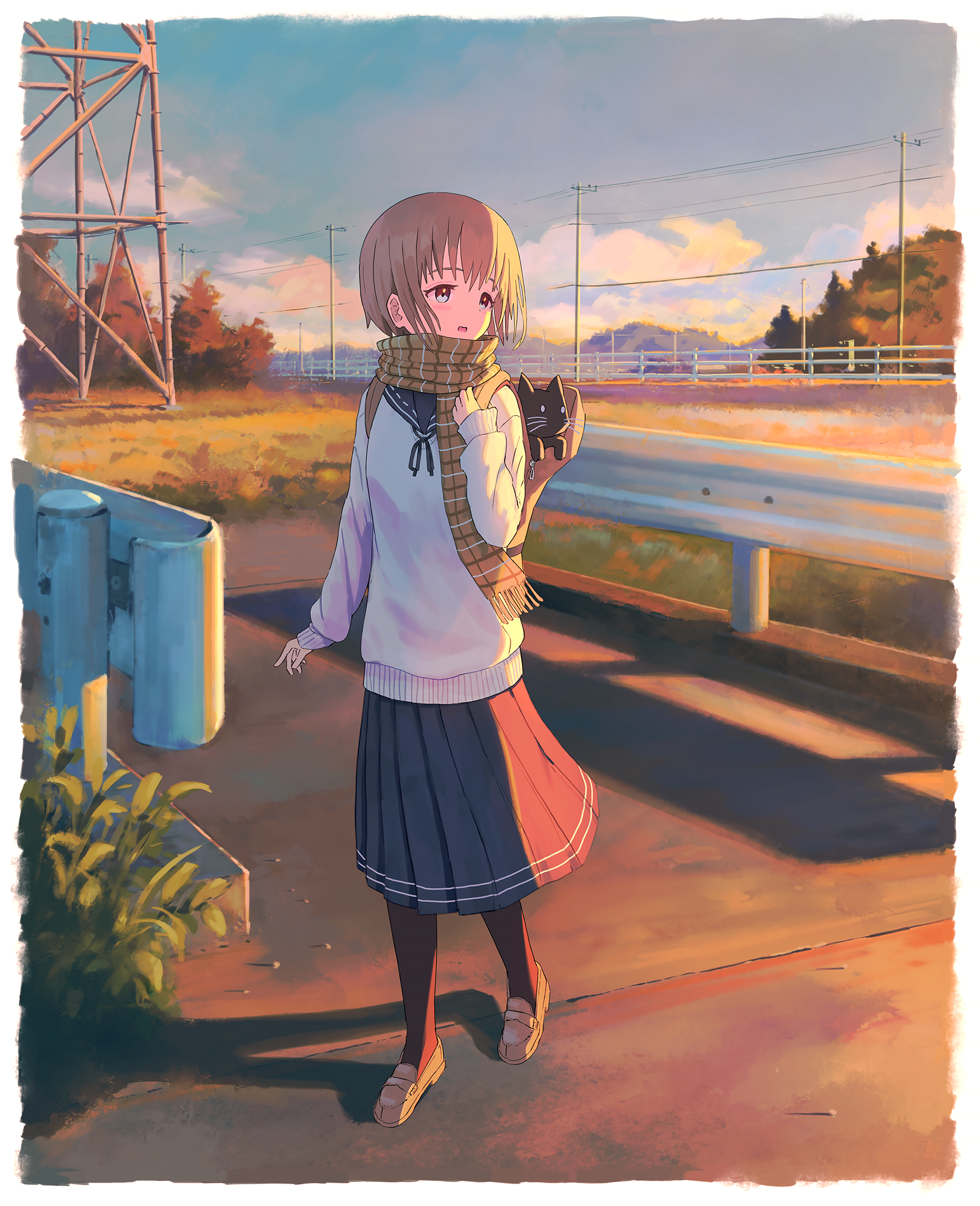 Evening - Anime, Anime art, Original character, Girls, Schoolgirls, cat, Scarf, Road, Power lines, Seifuku