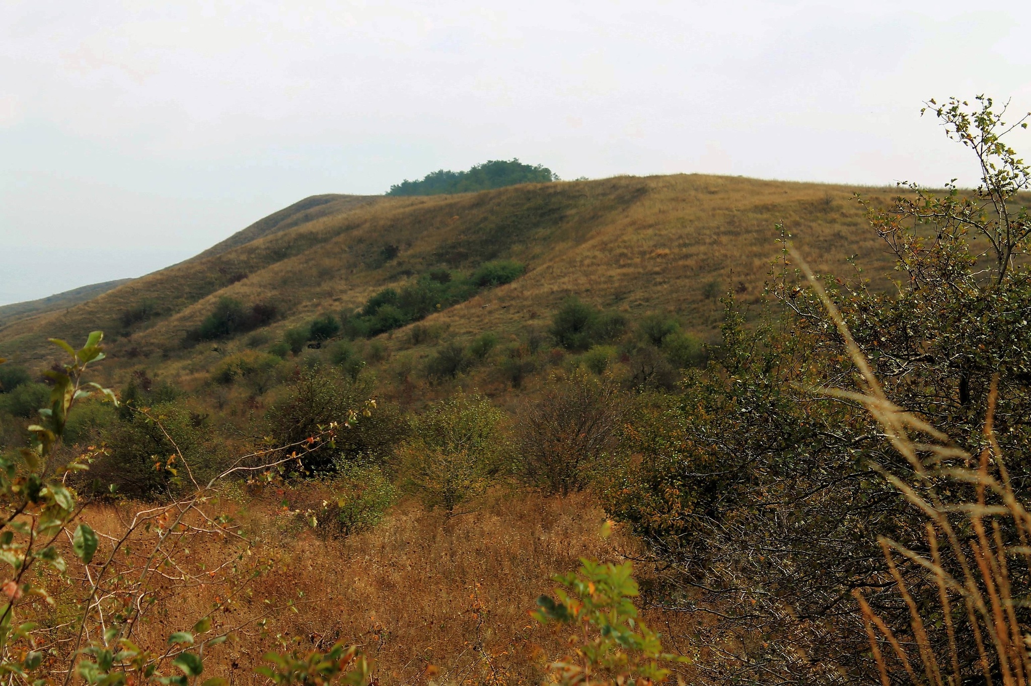 Autumn hills - My, The photo, Nature, Landscape, The hills