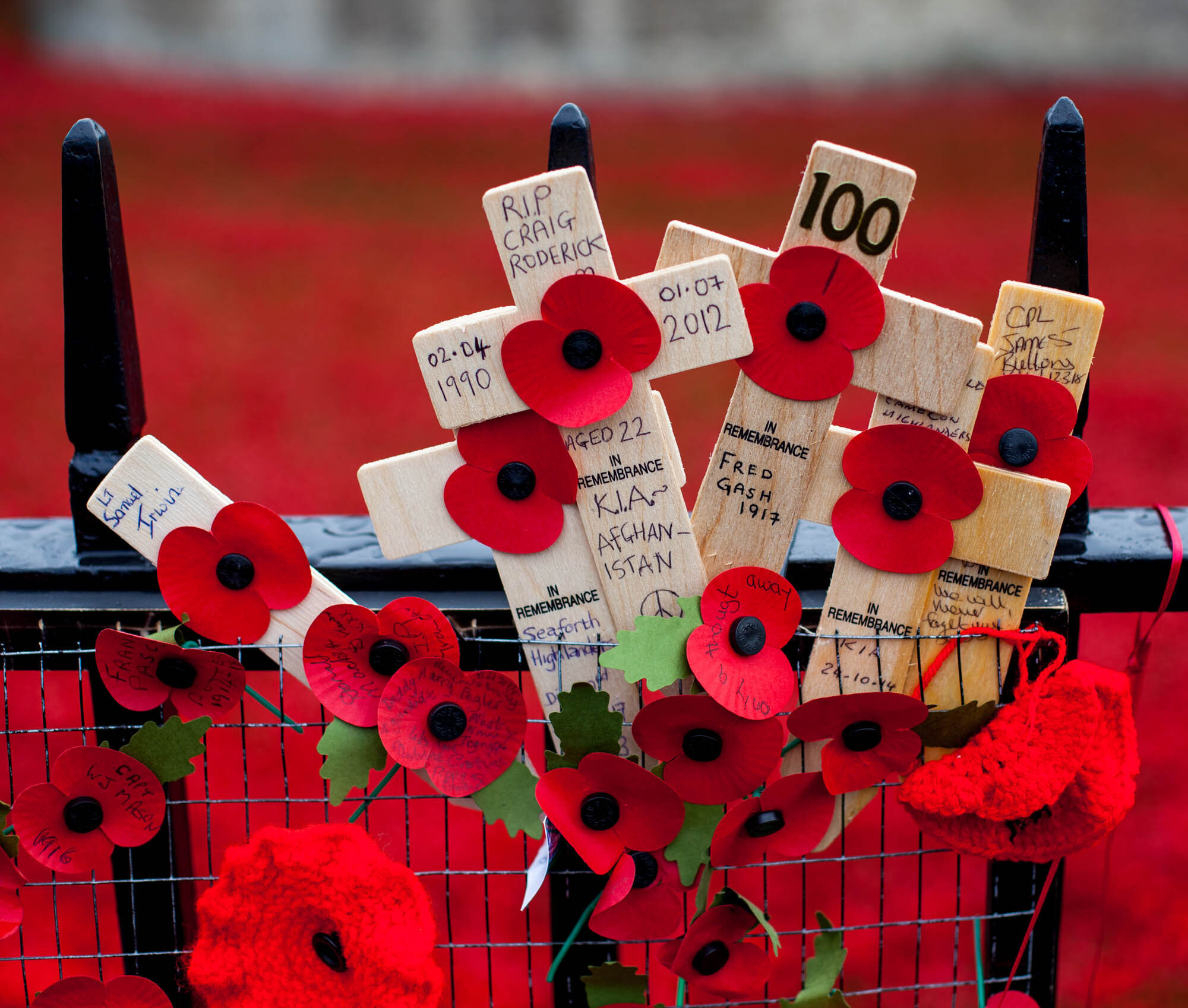 Remembrance Day or Day of Remembrance of the Fallen in the UK - My, Great Britain, History (science), Longpost