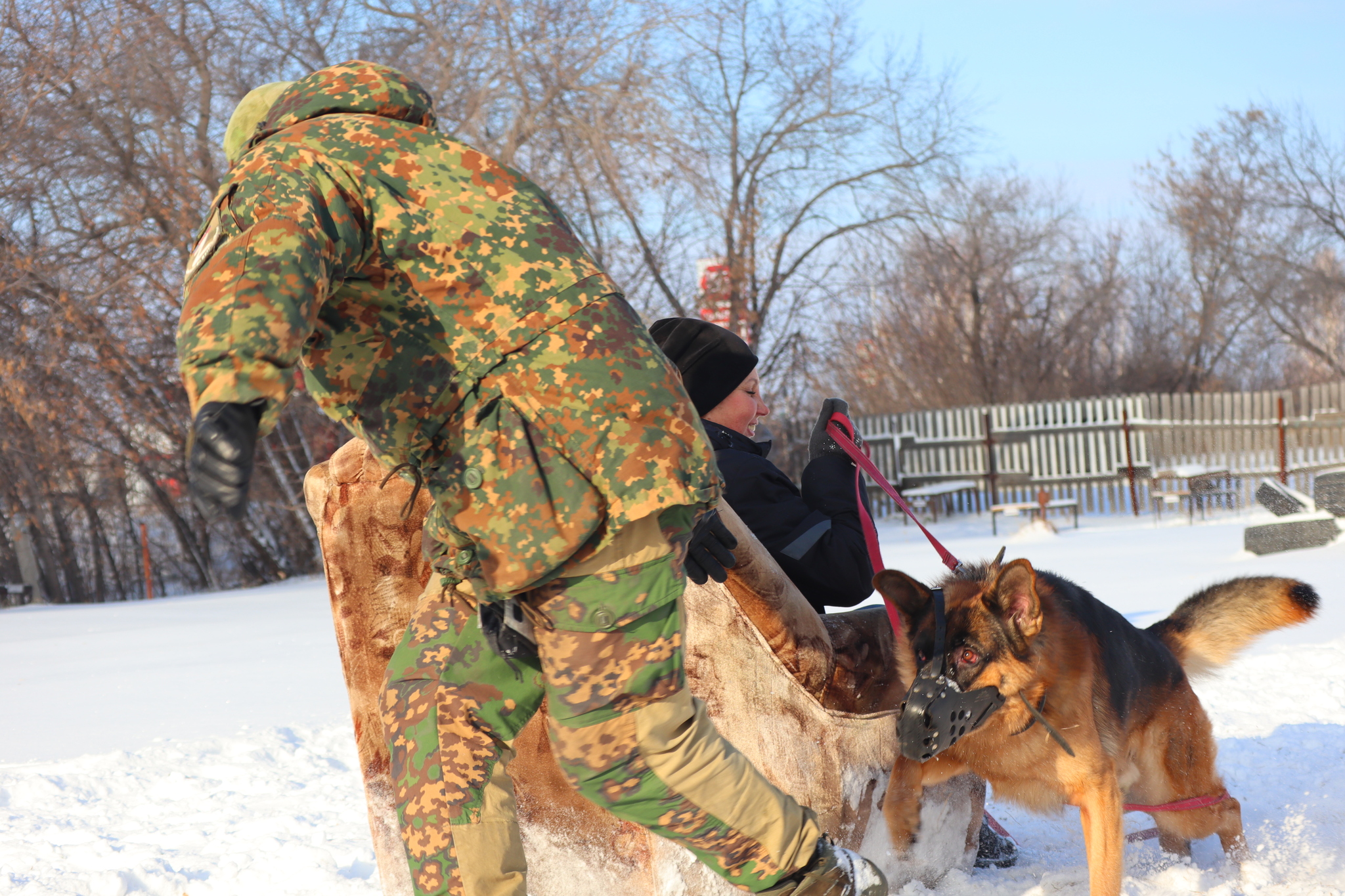 Дрессировка собак в Омске ОЦССС 09.11.2024 - Собака, Щенки, Омск, Дрессировка, Оцссс, Друг, Забота, Доброта, Собаководство, Друзья, Длиннопост