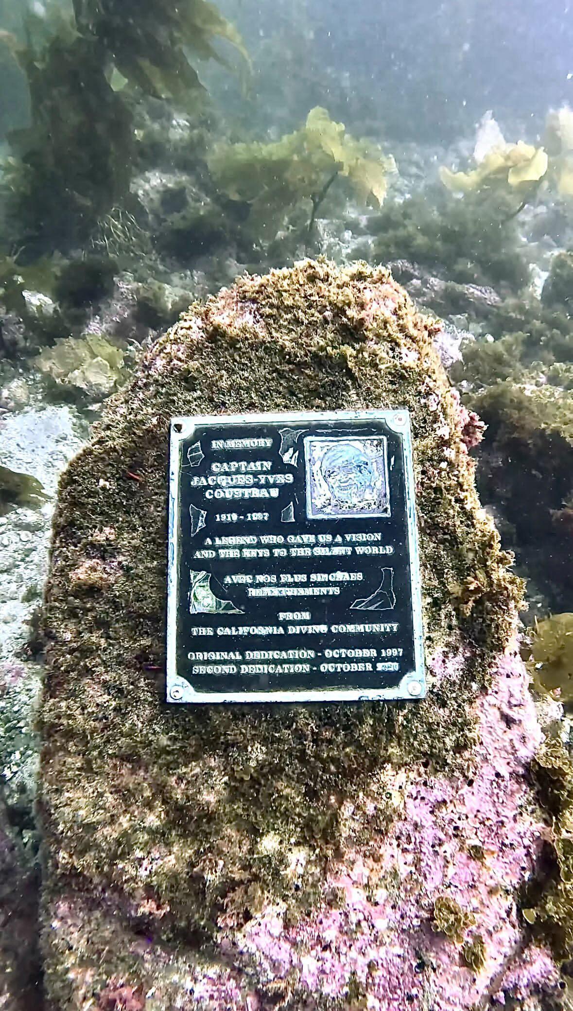 Diving to the memorial plaque of Jacques-Yves Cousteau - My, Youtube, Sea, Ocean, Scuba Diver, GoPRO, Island, Video, Vertical video, Longpost