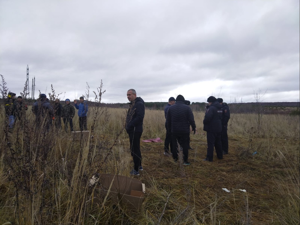 Kazan's system for catching stray animals led to tragedy - Kazan, Tatarstan, Dog, Animal defenders, Officials, Tragedy, Longpost, Negative