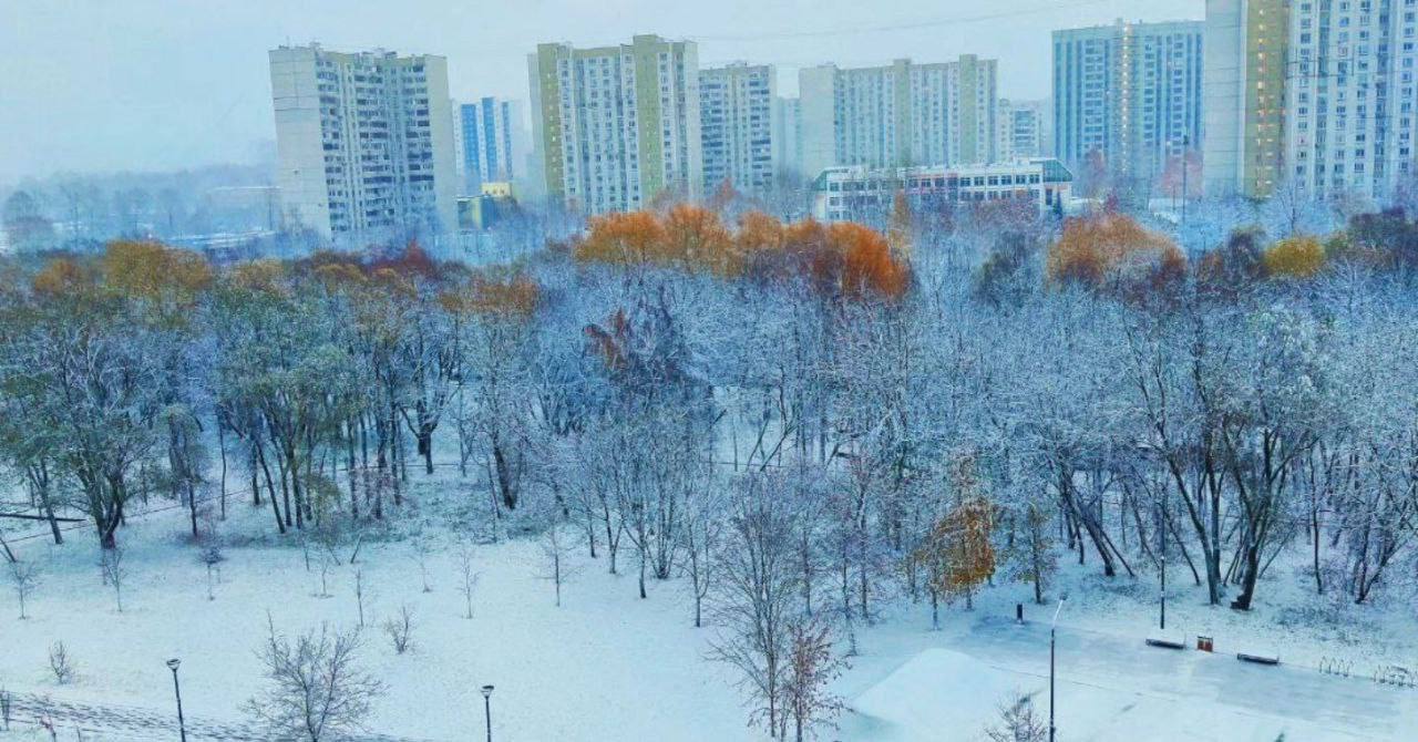 The struggle between autumn and winter in Moscow. Who will win? - Moscow, The photo, Autumn, Confrontation, High-rise building, Autumn leaves, Snow